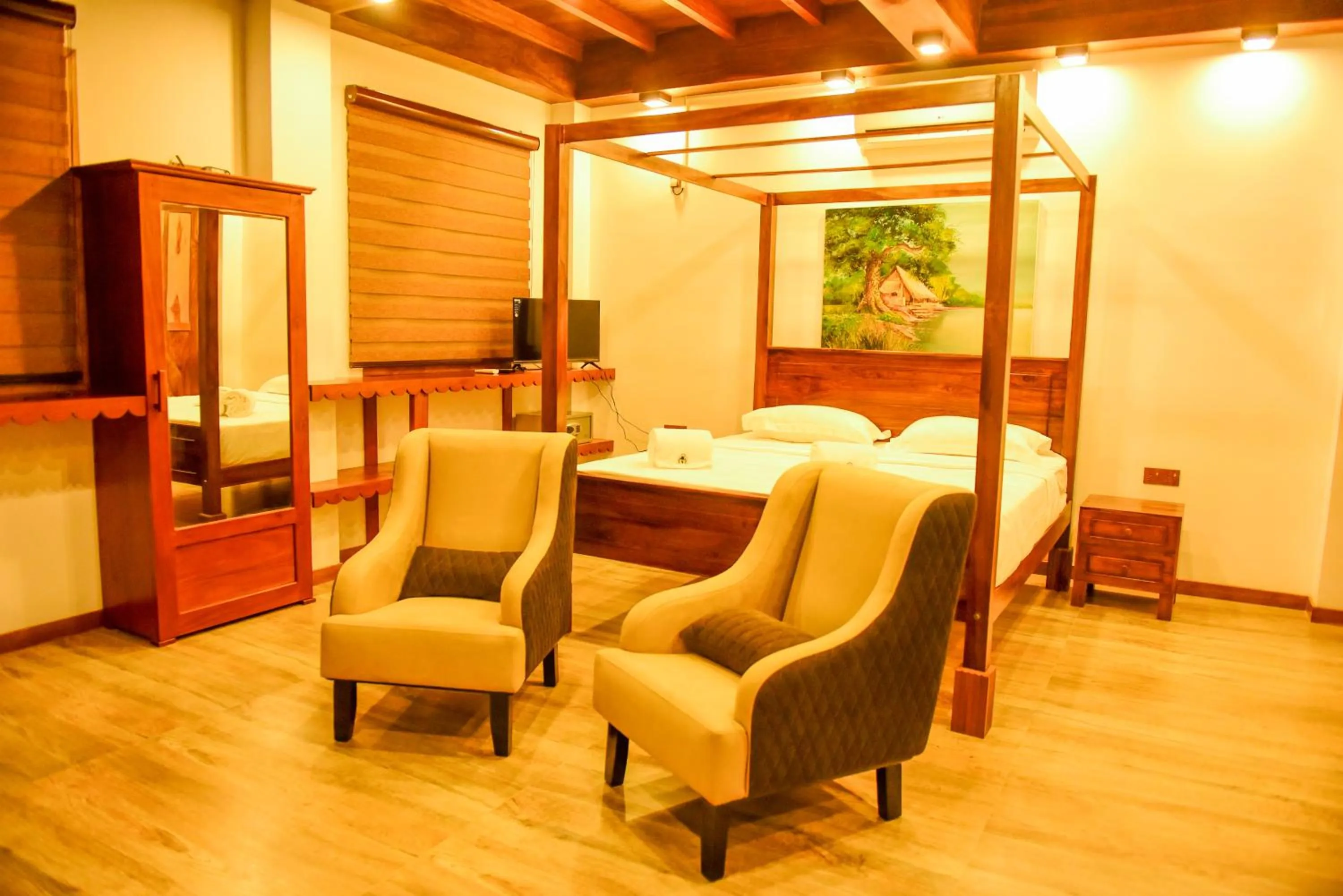 TV and multimedia in Cara White House