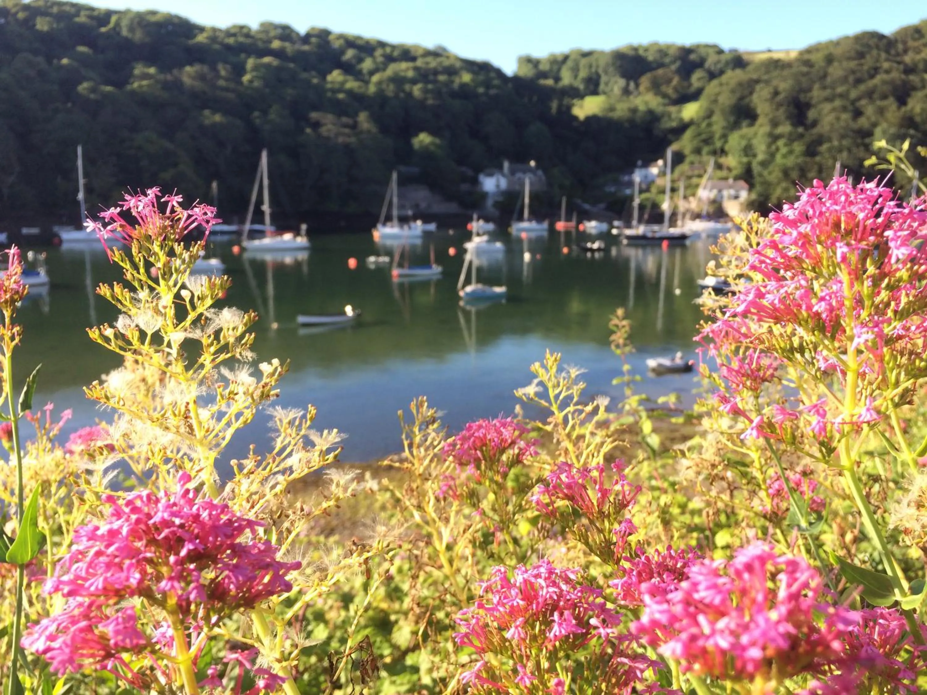 Natural landscape in Churchwood Valley