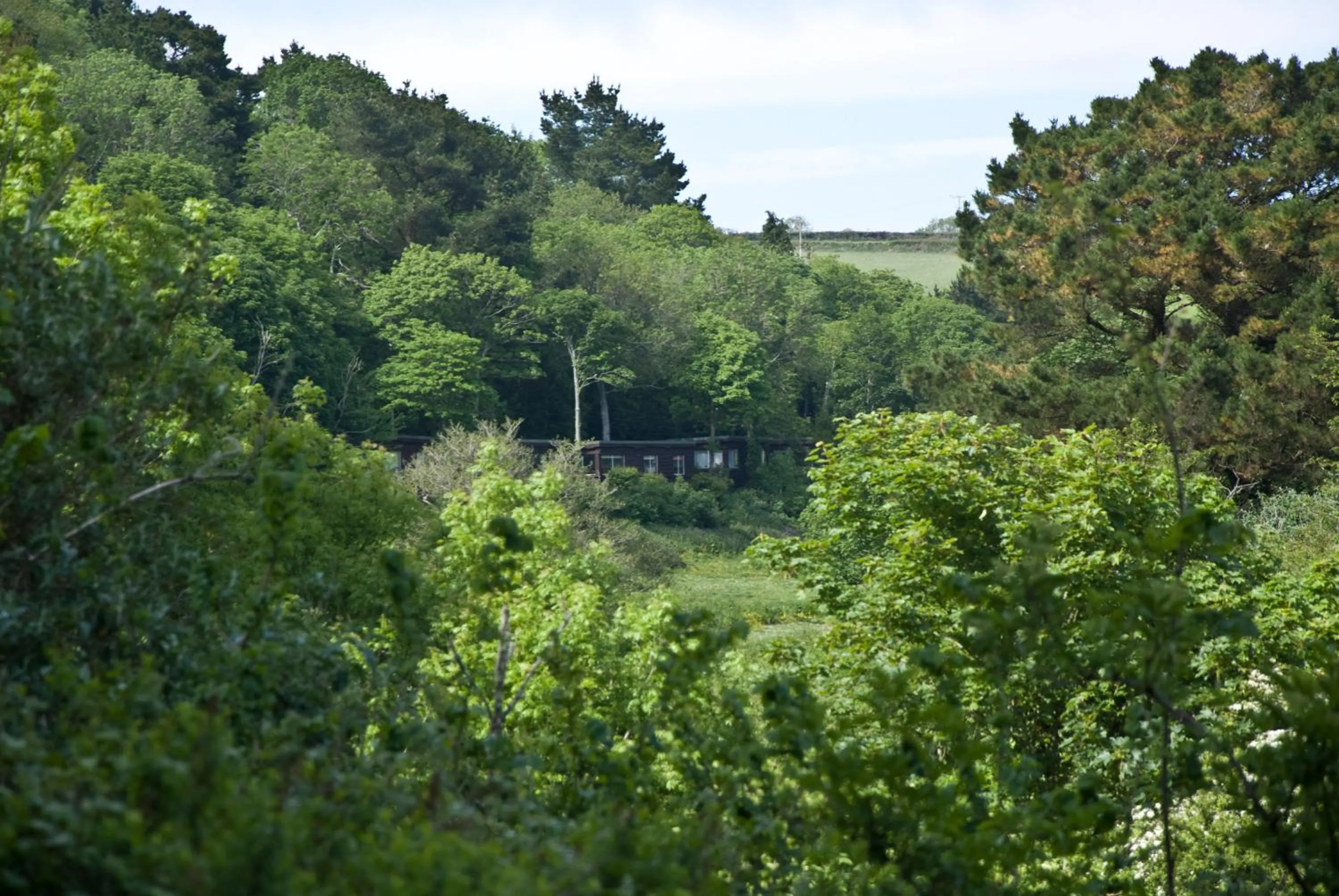 Area and facilities in Churchwood Valley