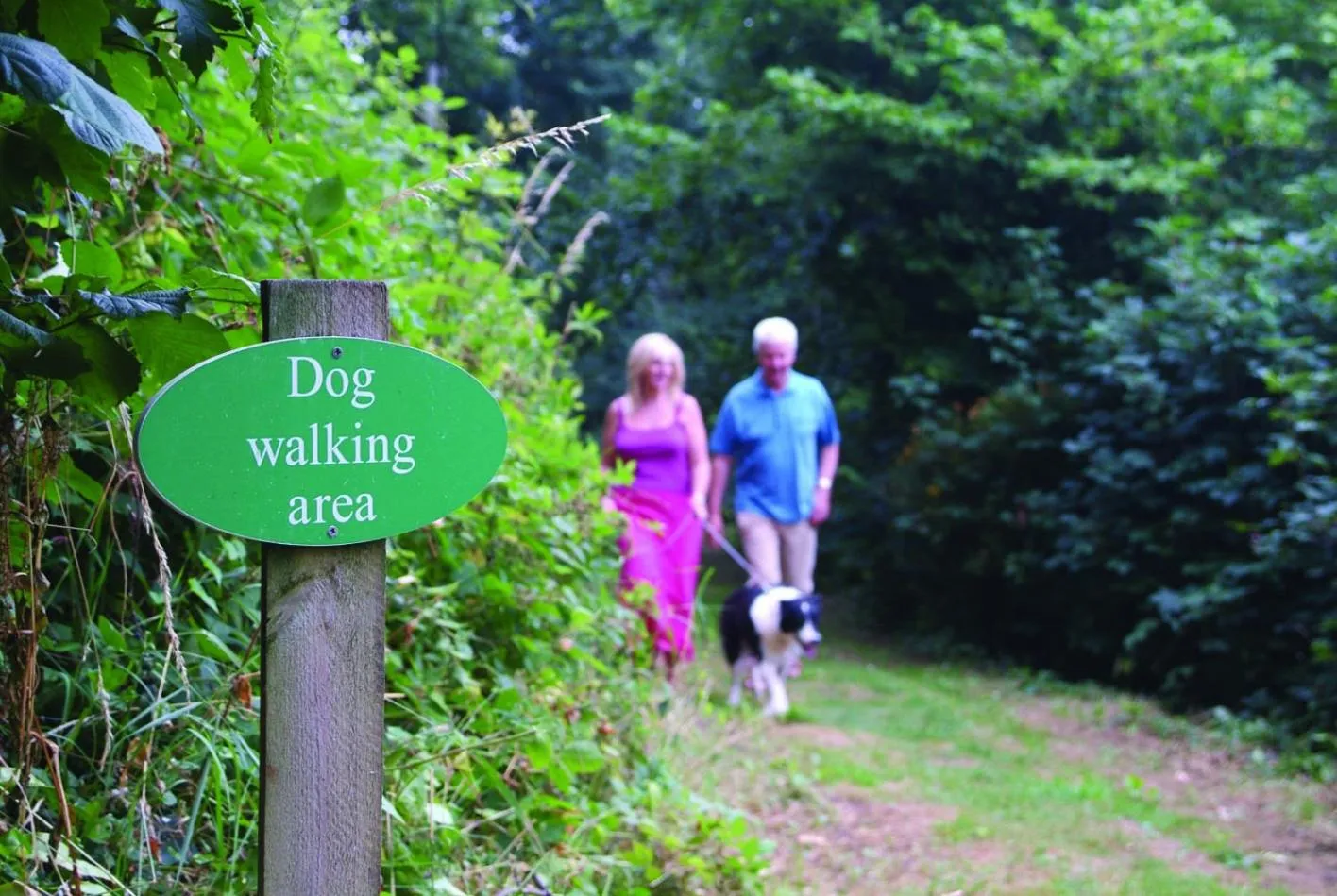 Pets in Churchwood Valley