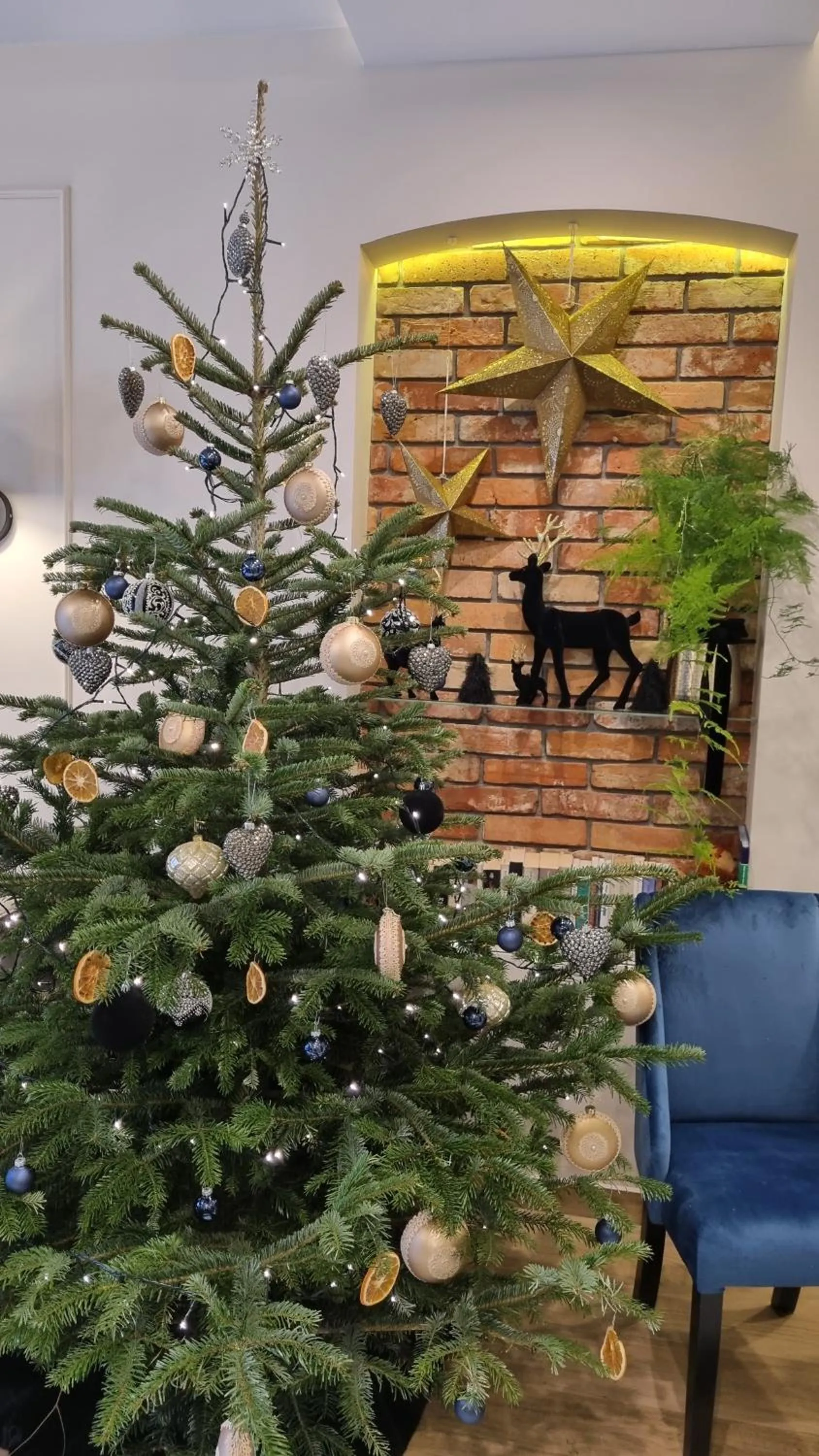 Lobby or reception in Altara Apartamenty Centrum - Free Parking