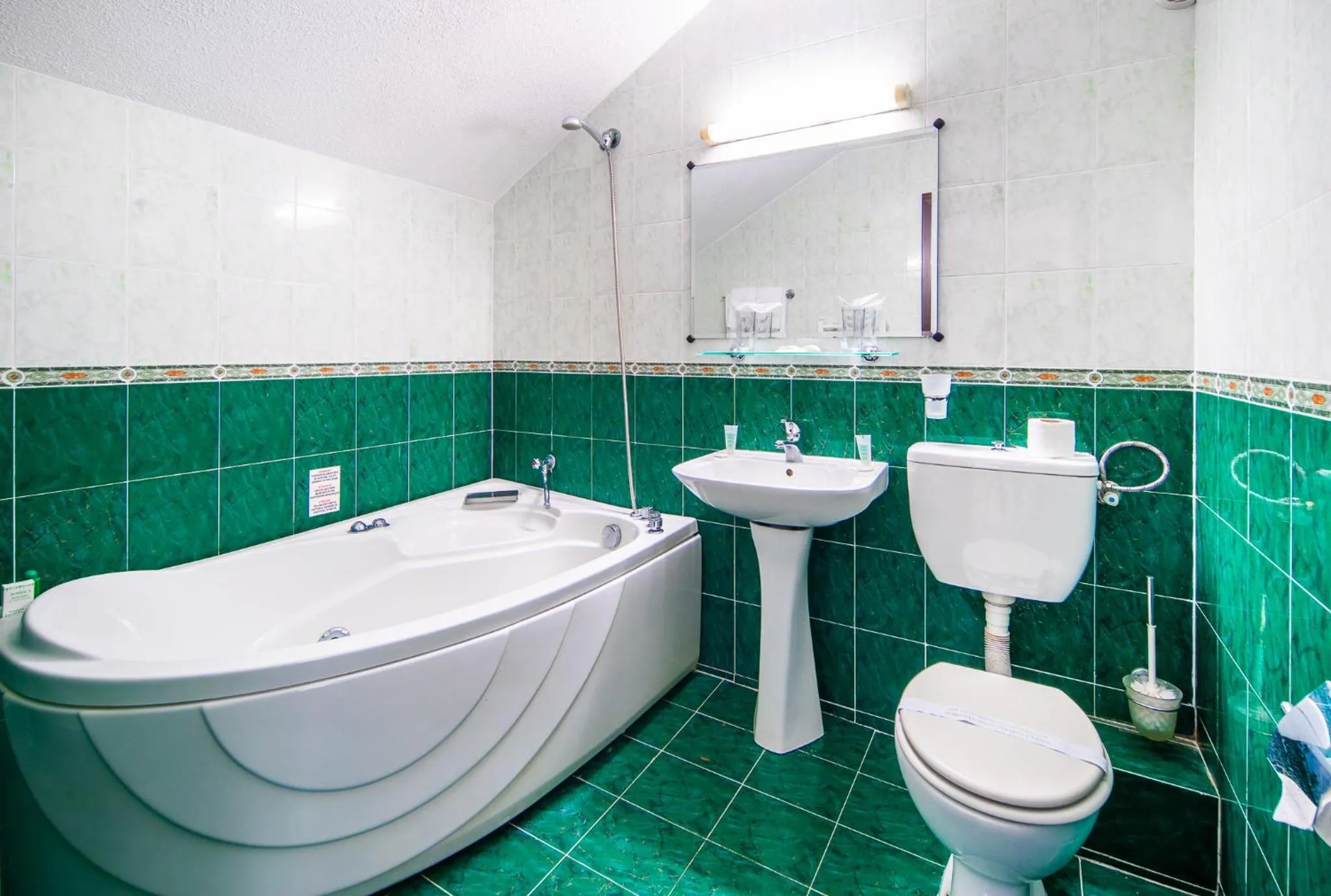 Toilet in Dolna Bania Hotel