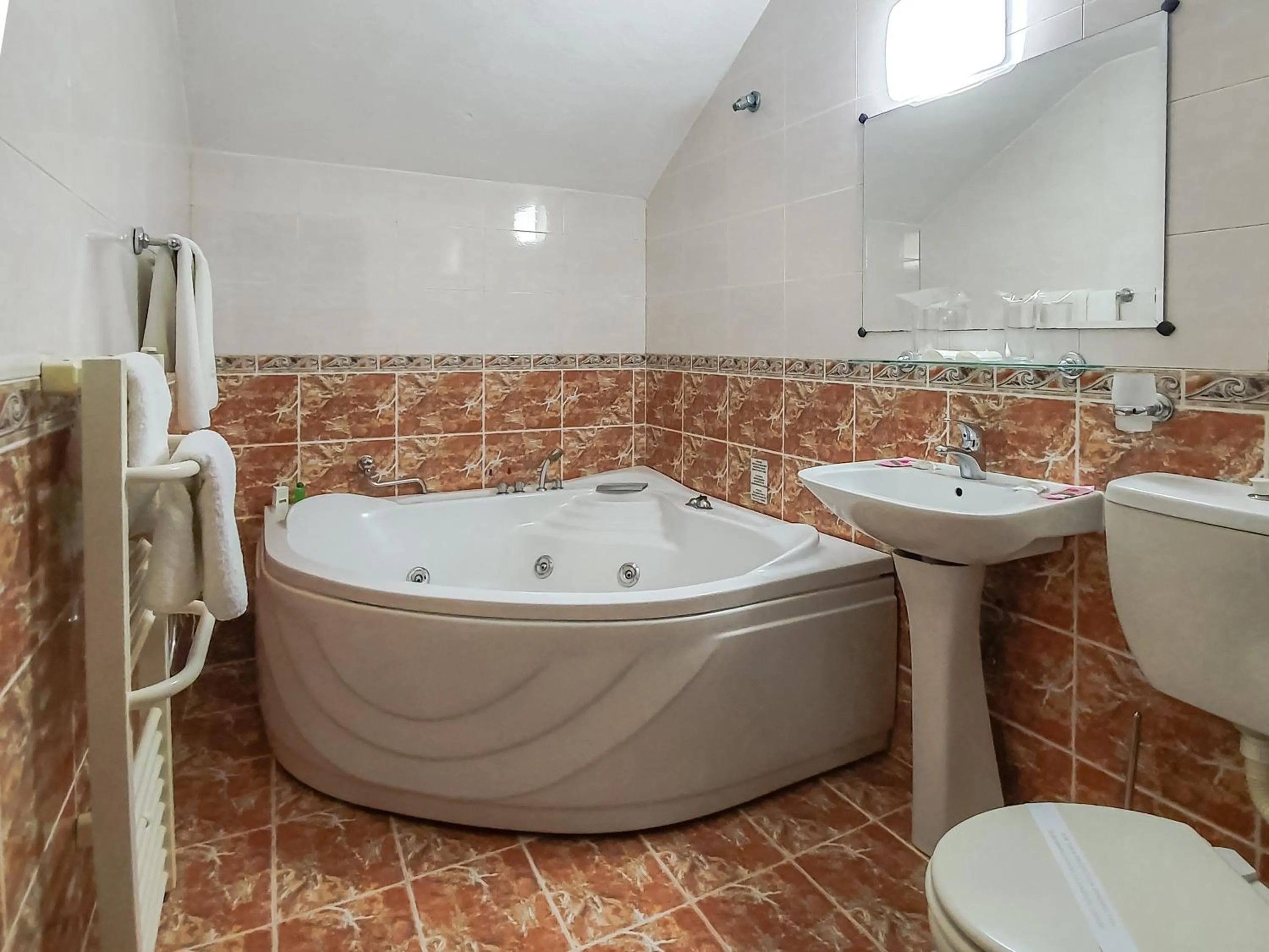 Hot Tub in Dolna Bania Hotel