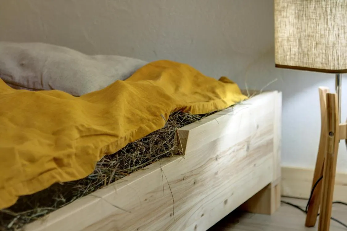 Bed in Villa Alvīne Family Apart-Hotel