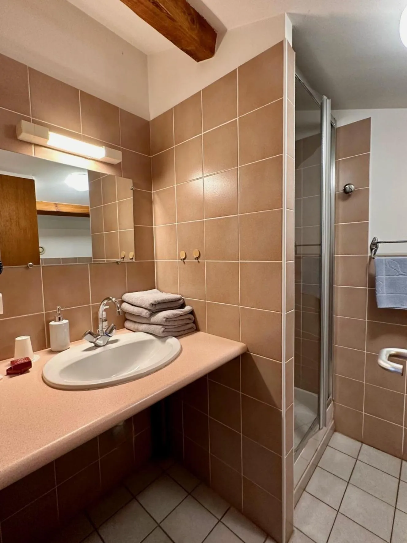 Shower in Chambres d'hôtes les Clapas