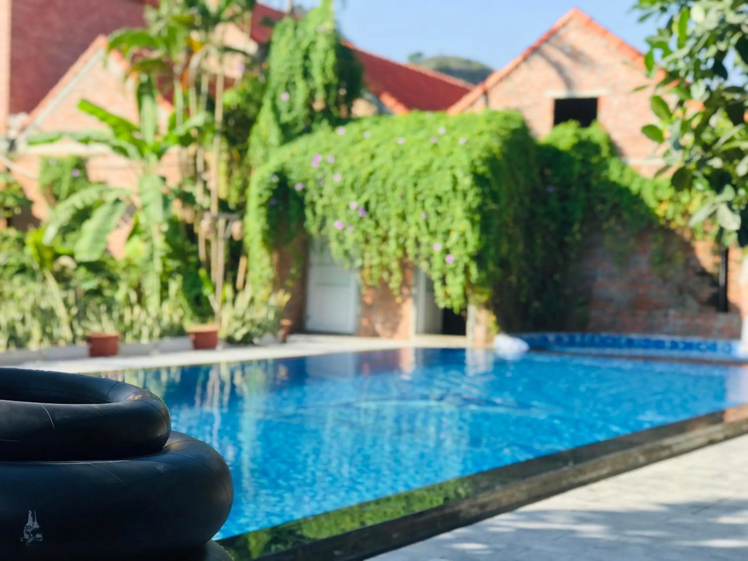 Garden in Ninh Binh Greenland Homestay