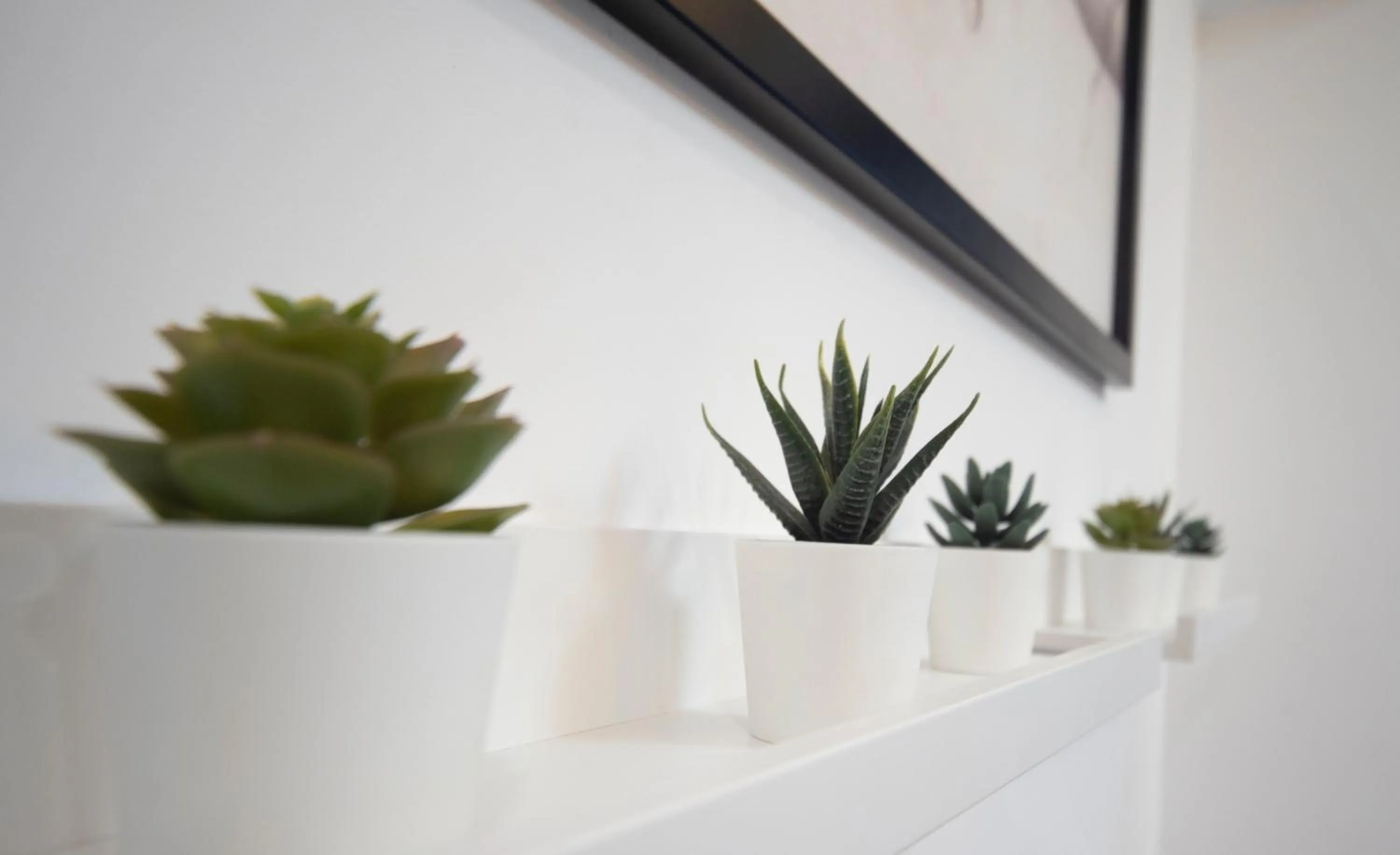 Lobby or reception in Lika Hotel