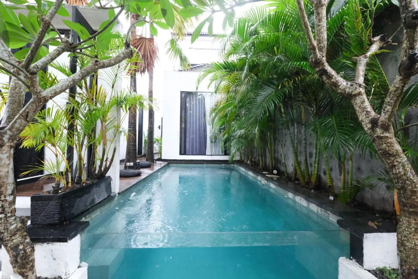 Swimming pool in Escotel Jalak