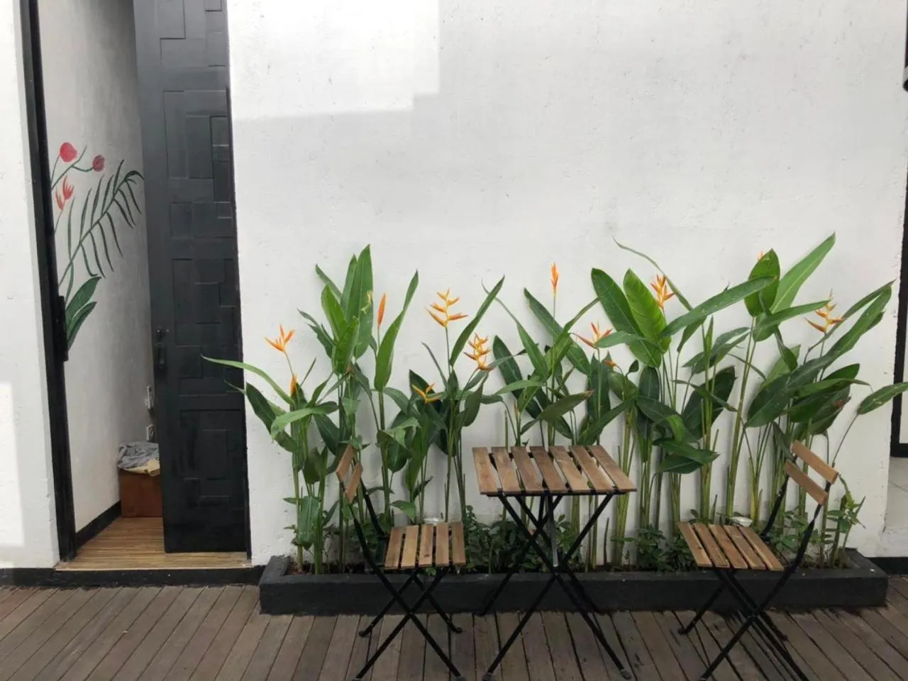 Garden in Escotel Jalak