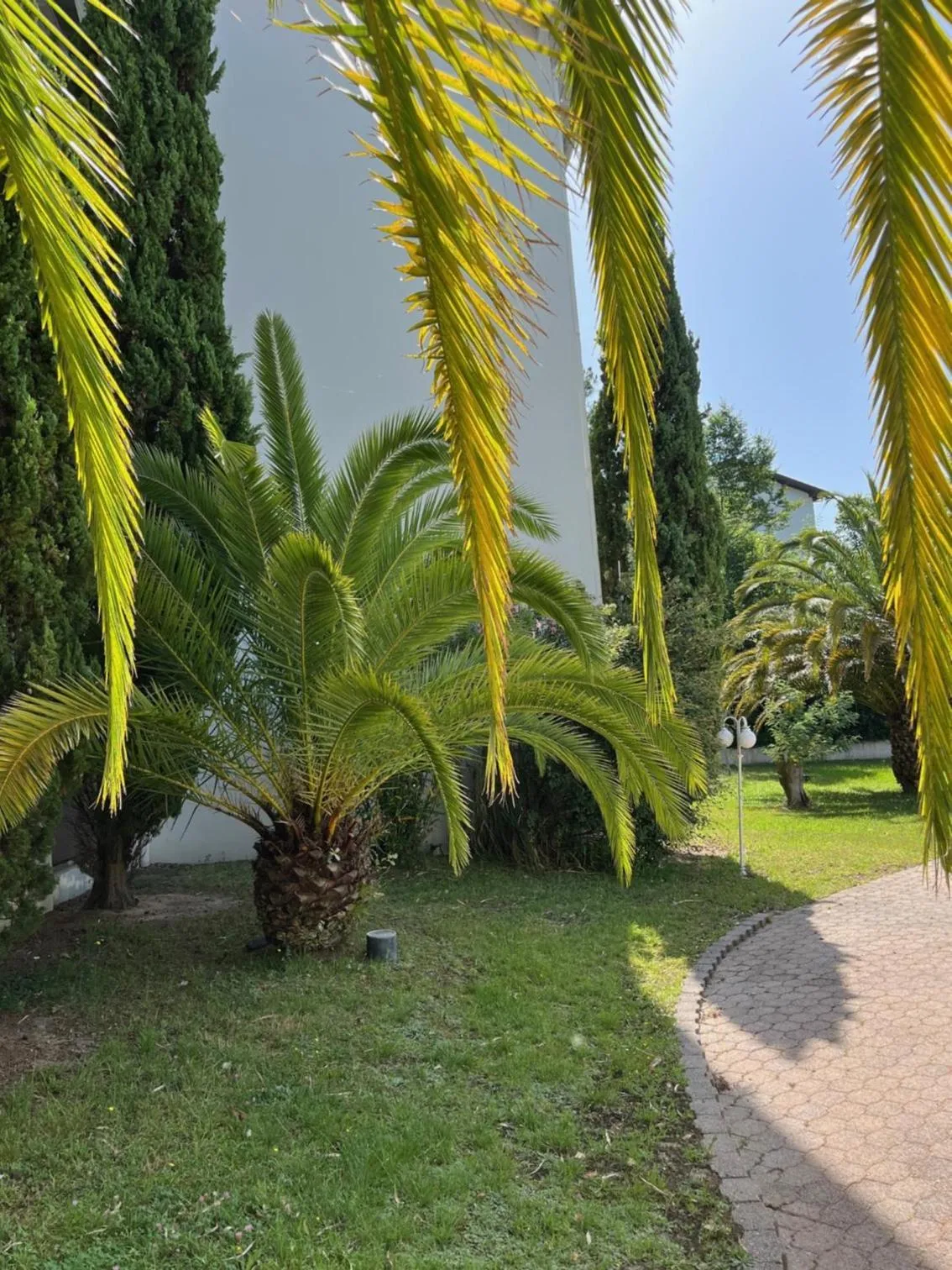 Garden view in Hotel Résidence Anglet Biarritz-Parme