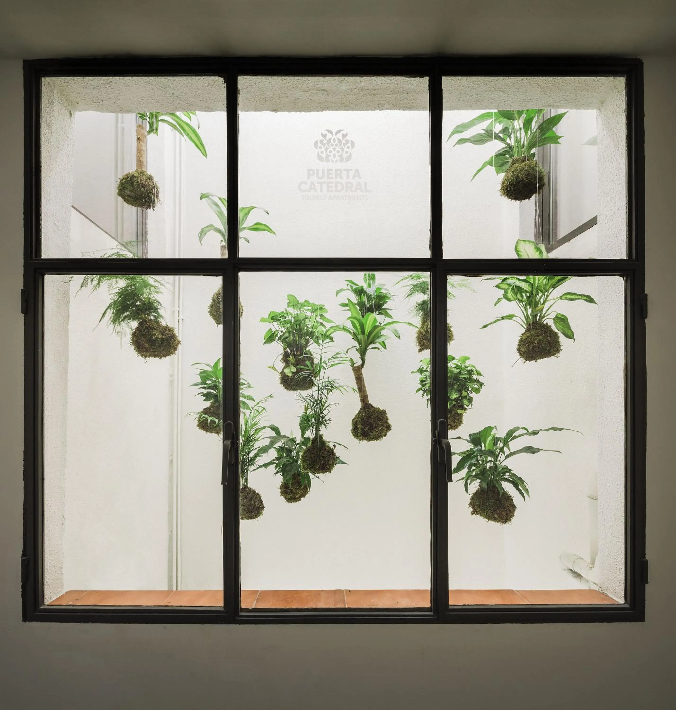 Area and facilities in Puerta Catedral Holiday Suites