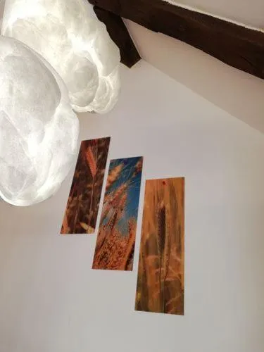 Decorative detail in Moulin de Schwabwiller