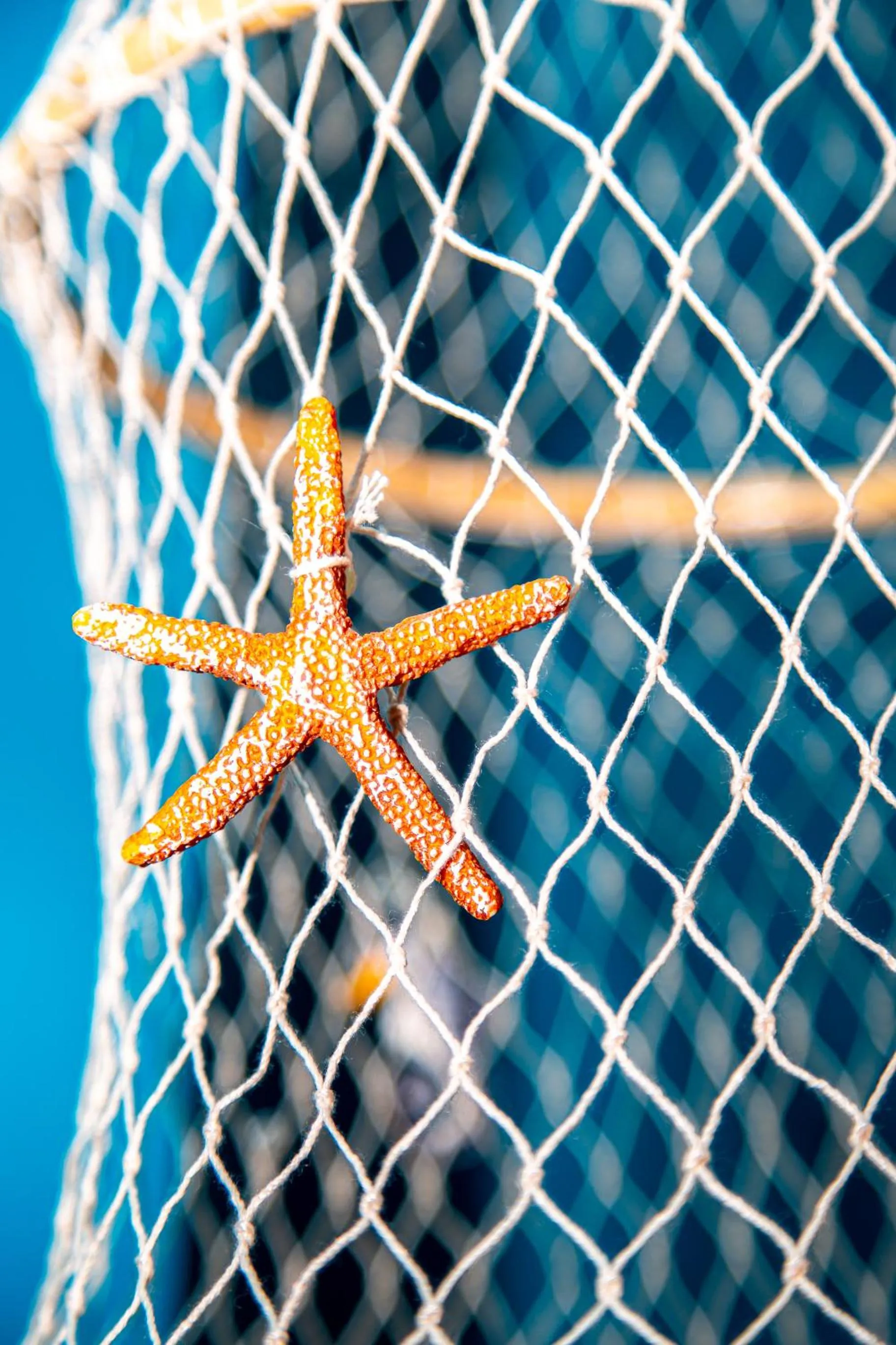 Decorative detail in il Palchetto B&B di Charme e Design