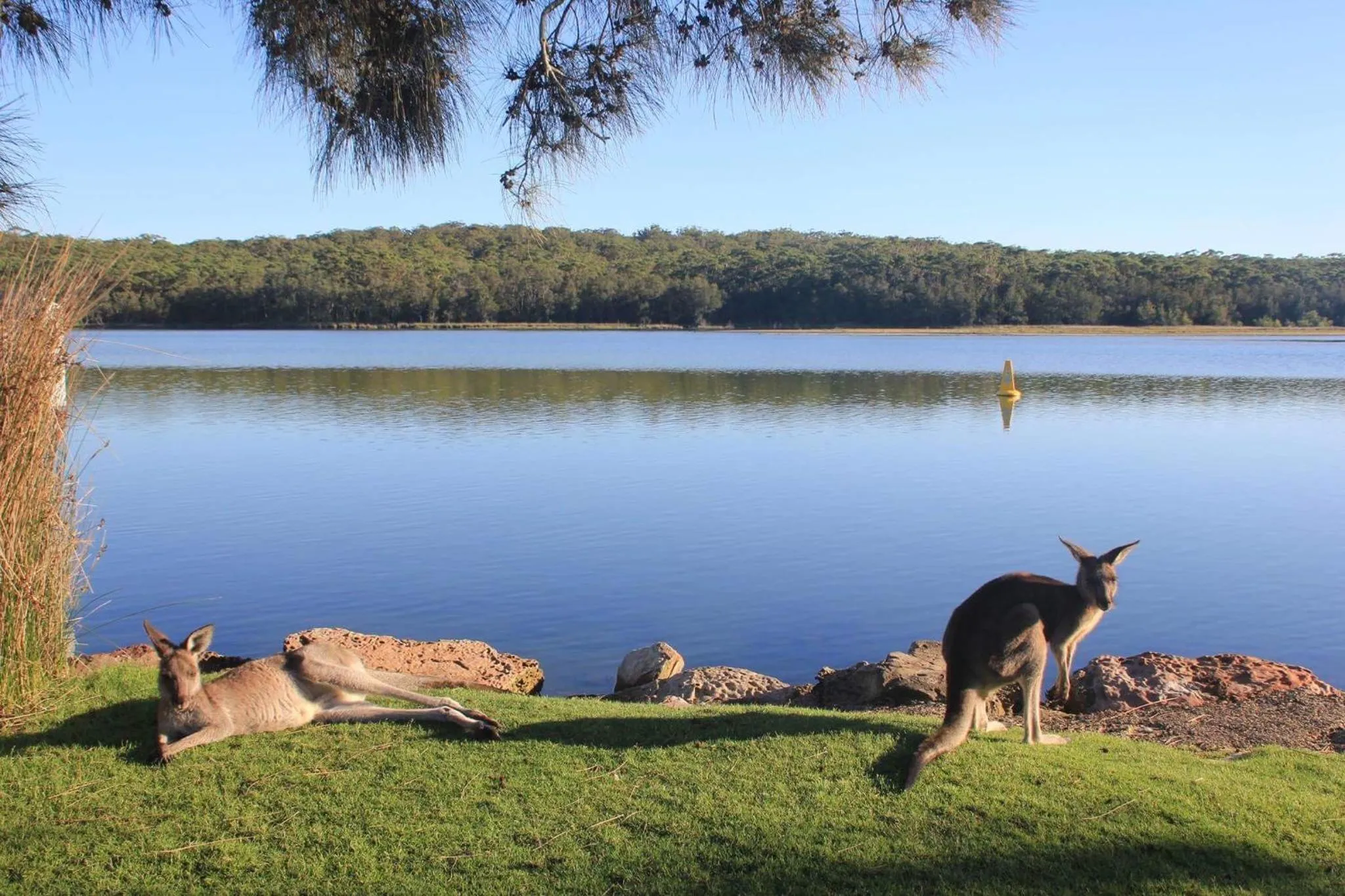 Natural landscape in The Leaning Oak Holiday Lifestyles - Lake Conjola