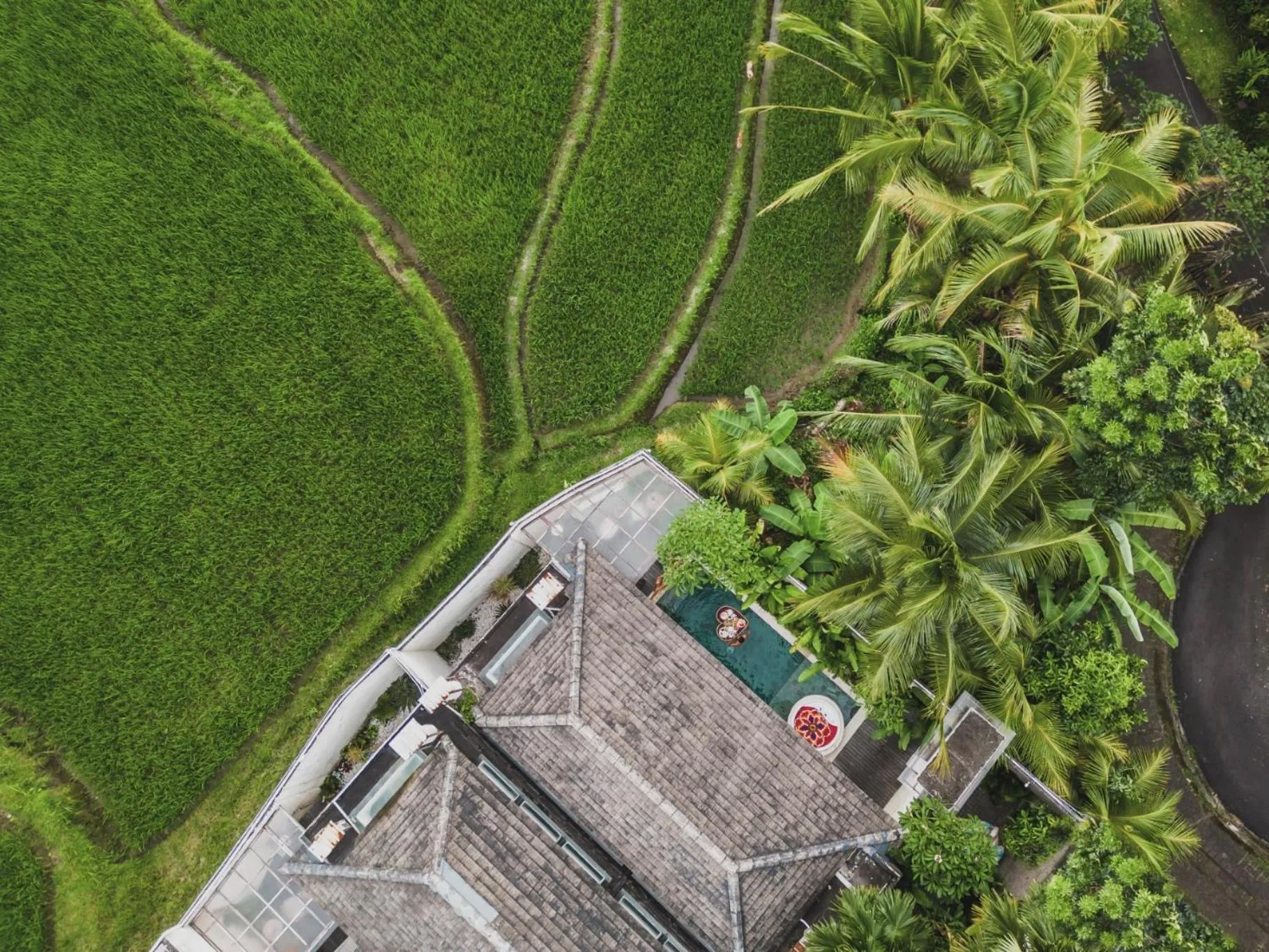 View (from property/room) in Asvara Villa Ubud by Ini Vie Hospitality