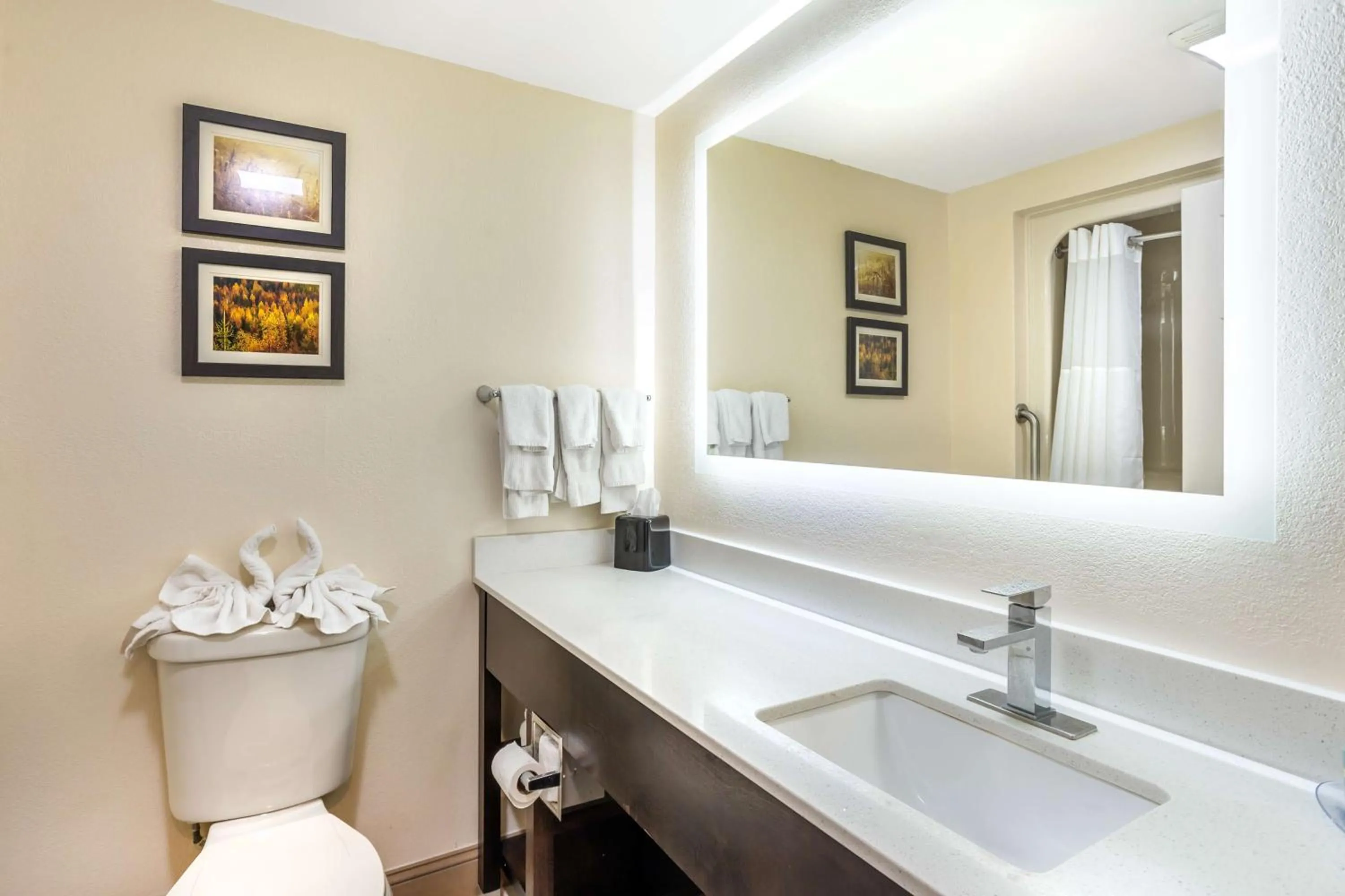 Bathroom in Best Western Grantville Hershey