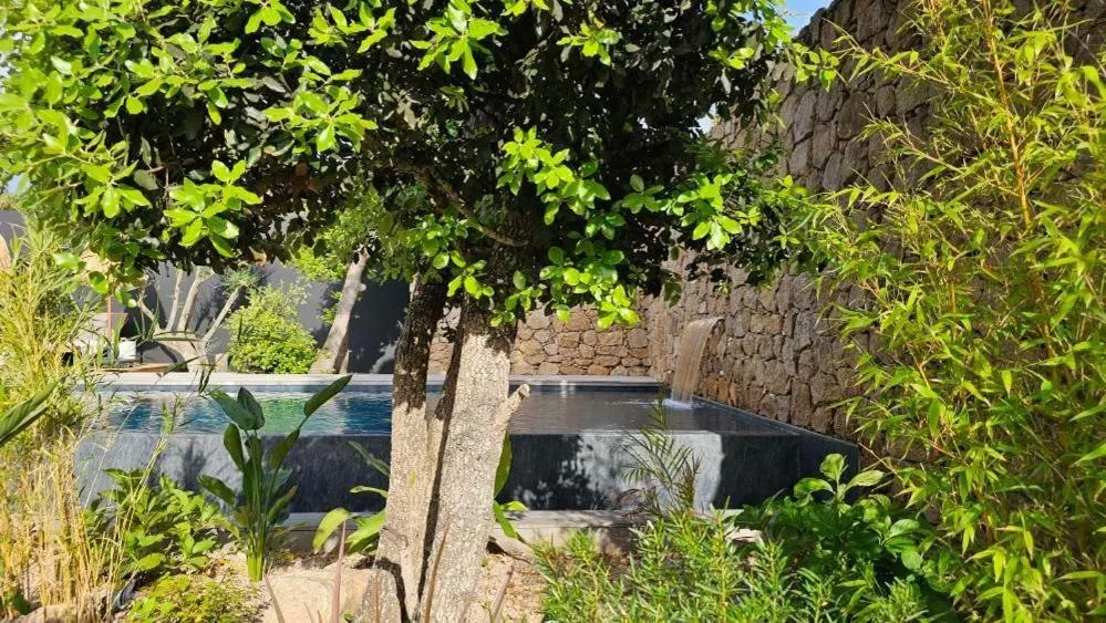 Hôtel Les Suites Du Maquis