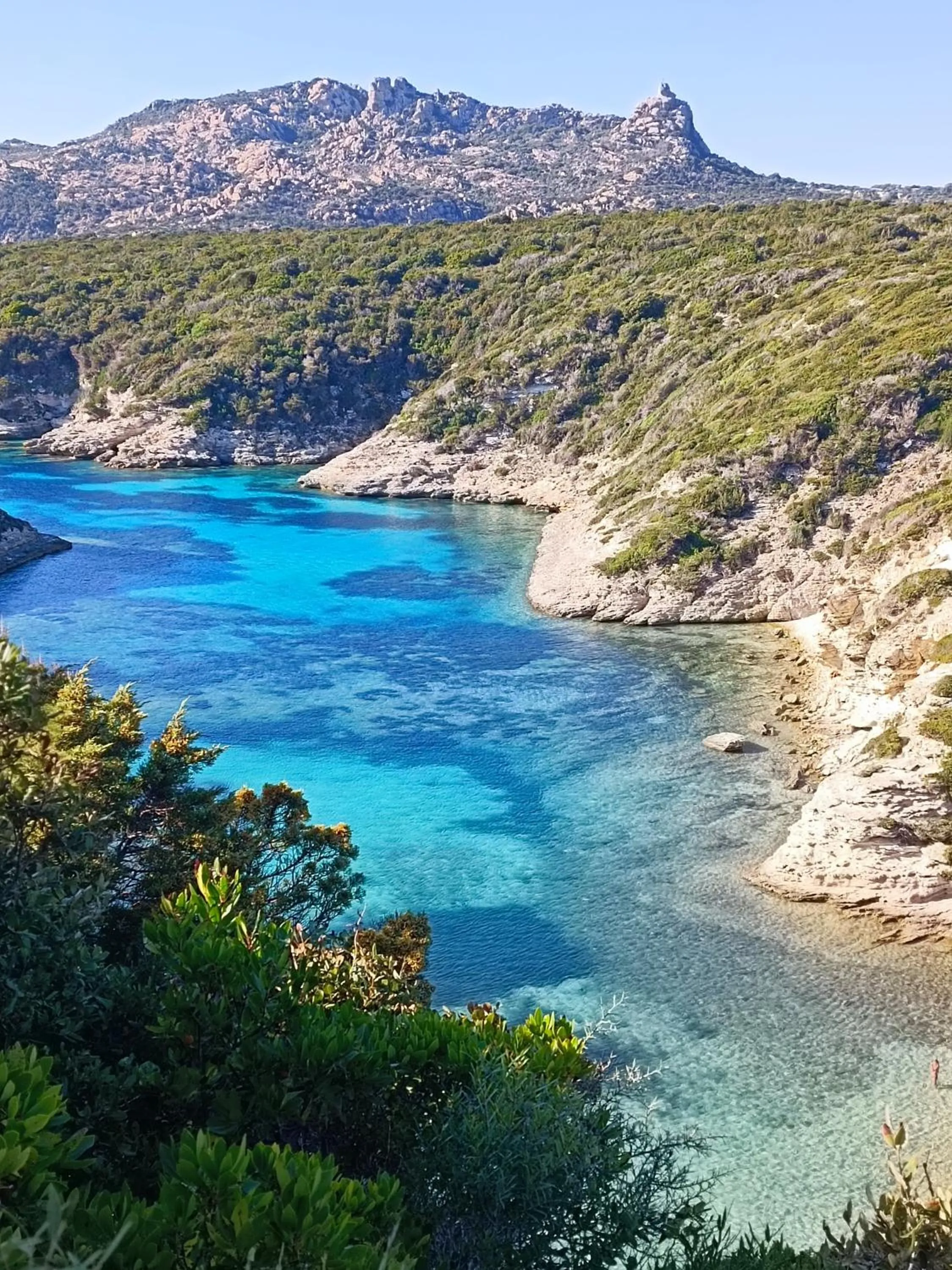 Hôtel Les Suites Du Maquis