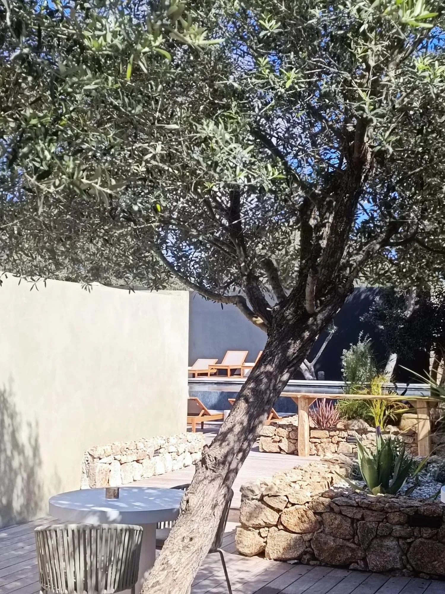 Restaurant/places to eat in Hôtel Les Suites Du Maquis