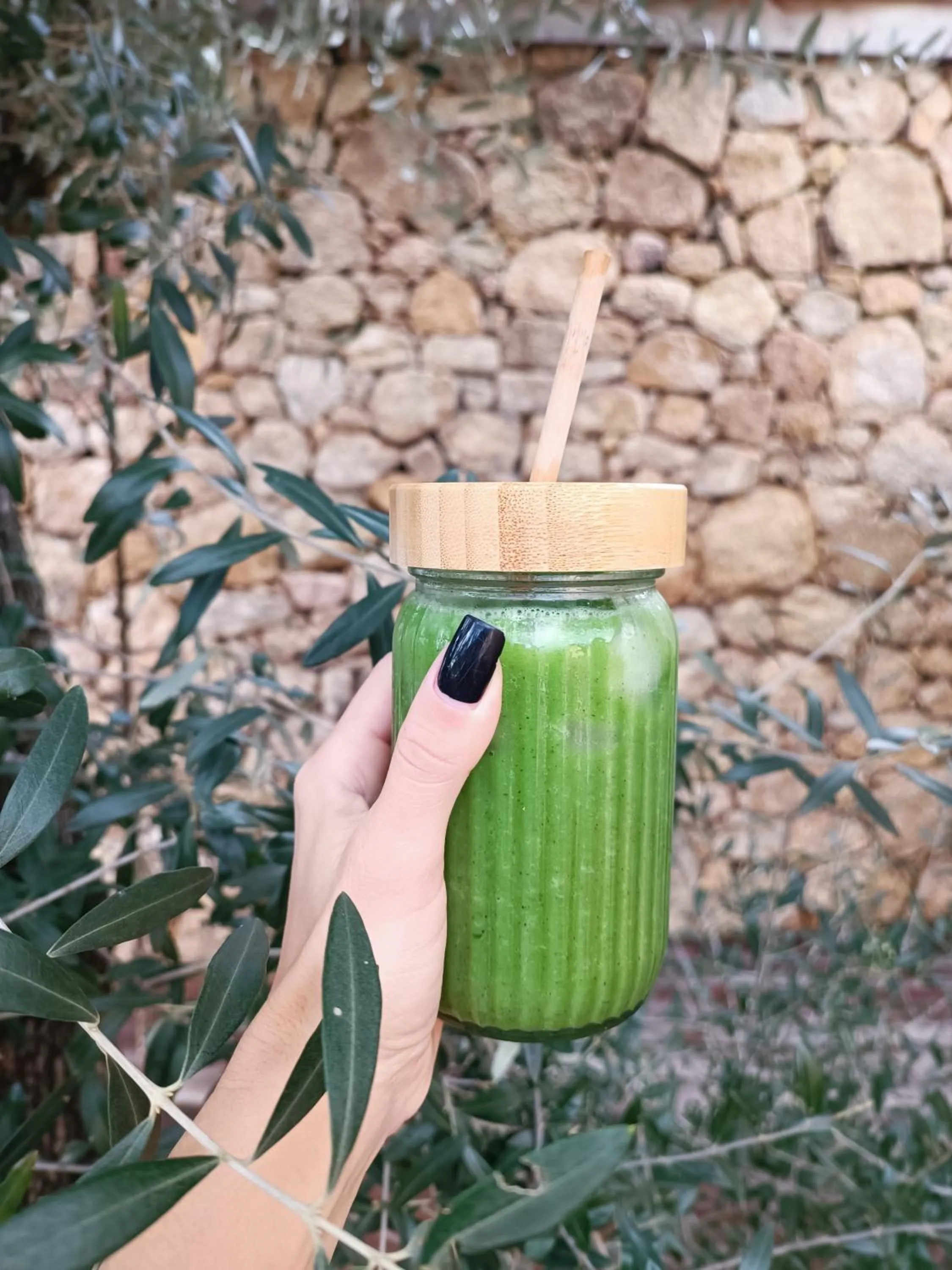 Hôtel Les Suites Du Maquis