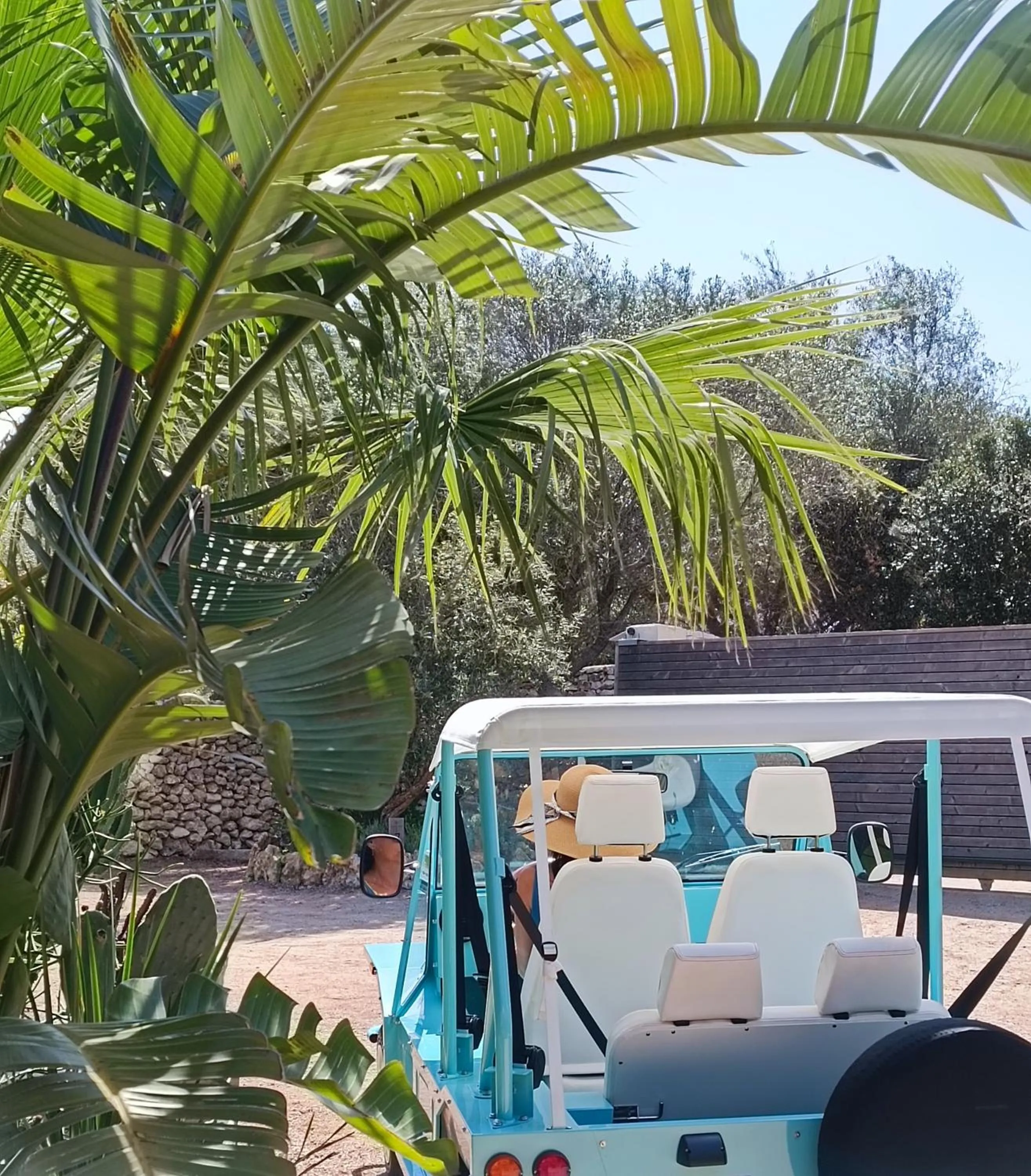 Hôtel Les Suites Du Maquis