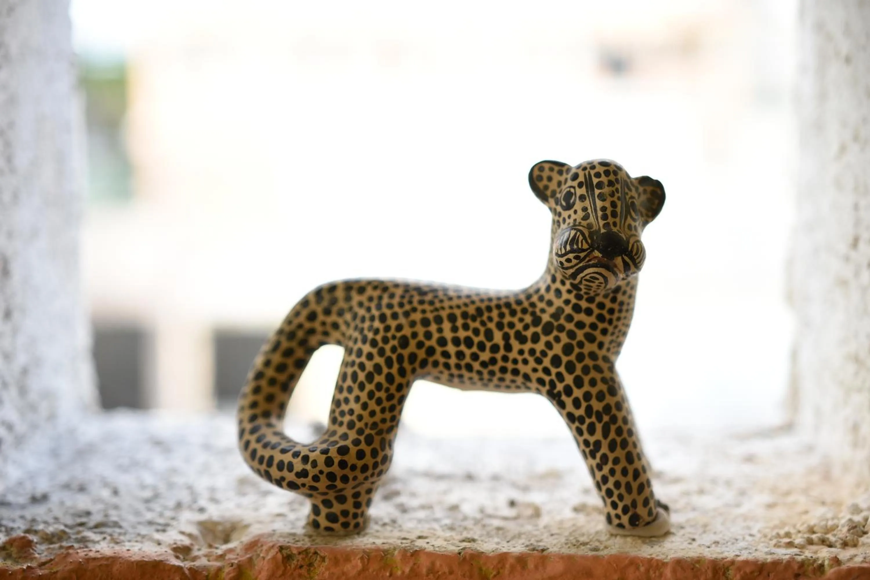 Balcony/Terrace in Cancun Guest House 1