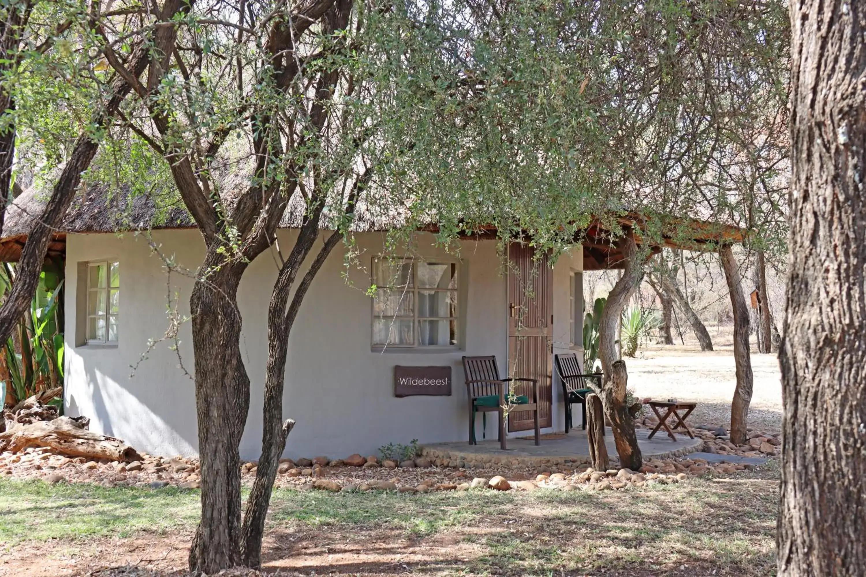 Superior King Room - single occupancy in Mziki Safari Lodge Superior King Room - single occupancy in Mziki Safari Lodge