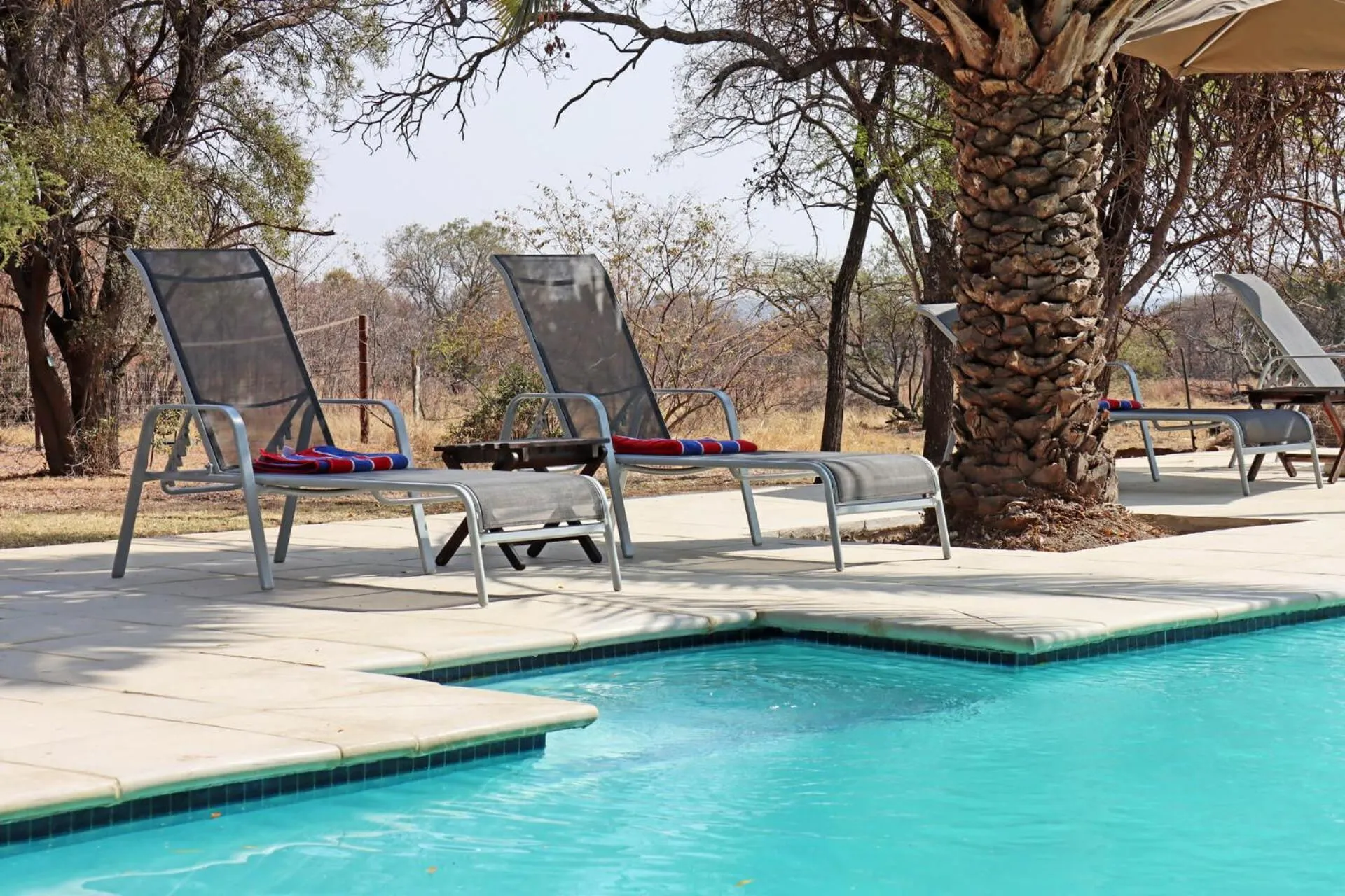 Swimming pool in Mziki Safari Lodge