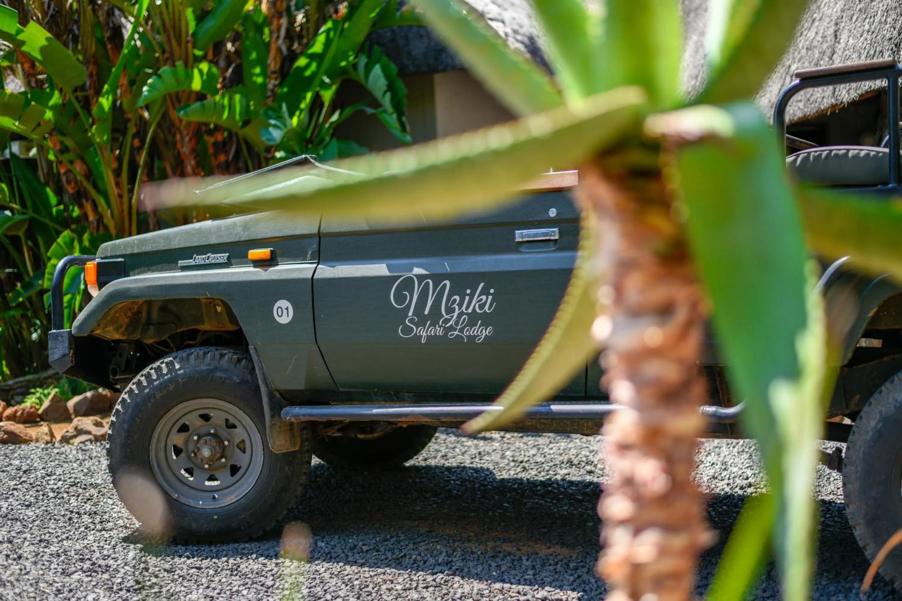 Garden in Mziki Safari Lodge