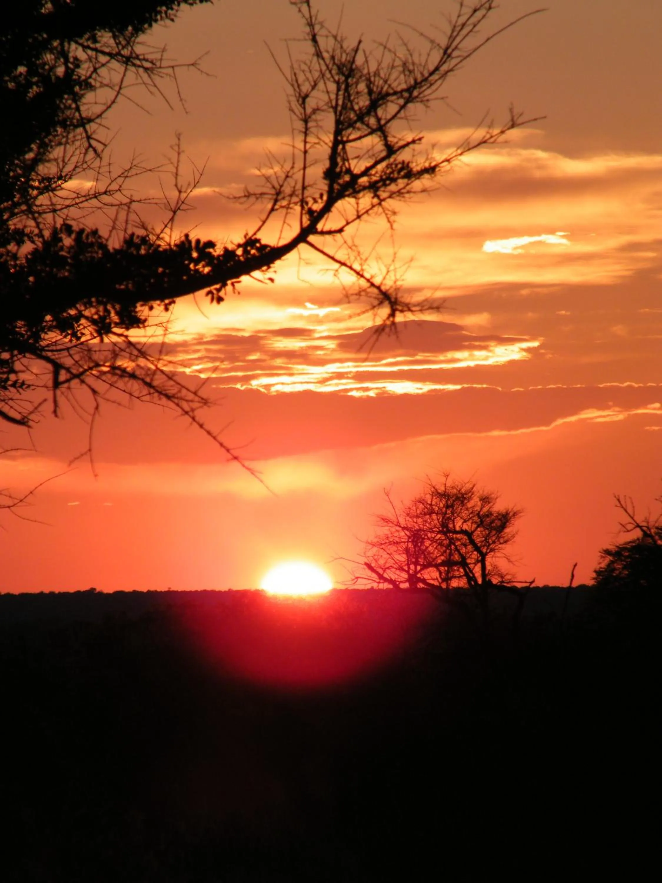 Natural landscape in Mziki Safari Lodge