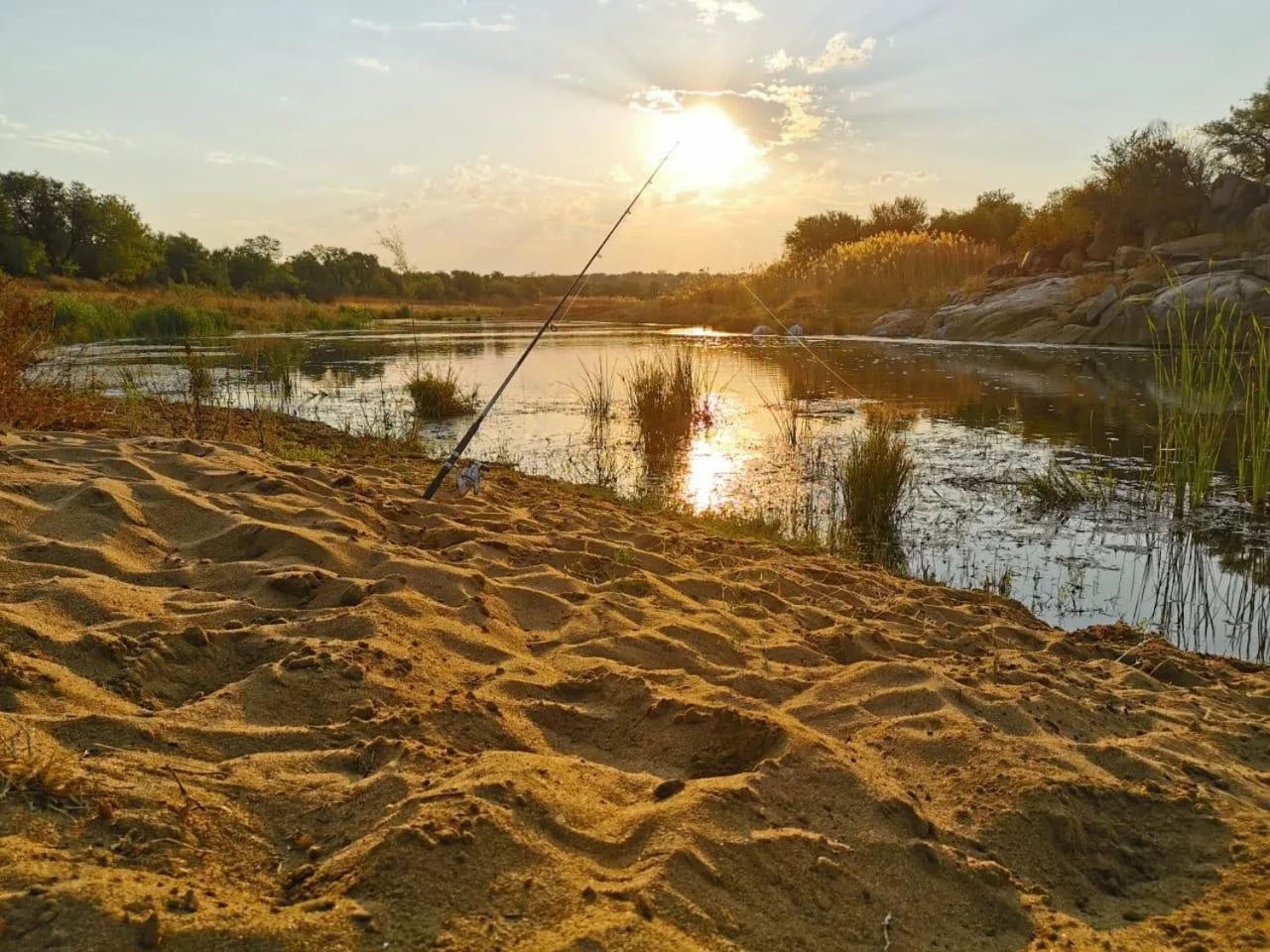 Natural landscape in Mziki Safari Lodge