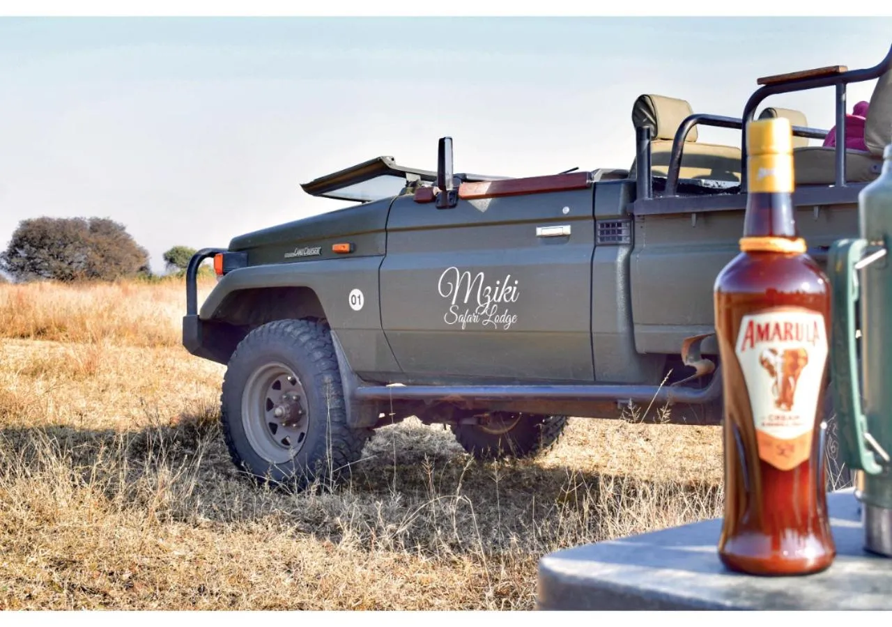 Activities in Mziki Safari Lodge