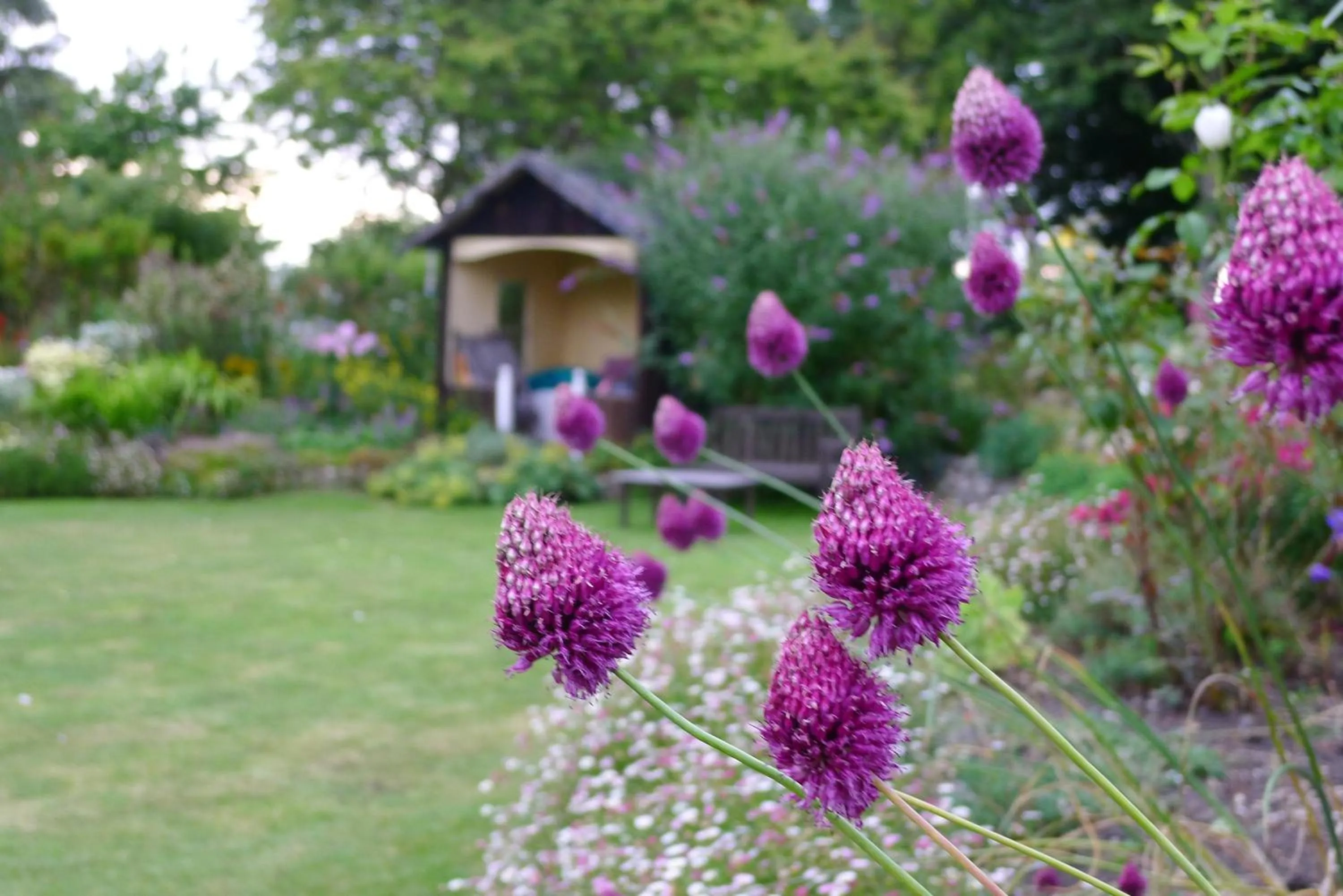 Garden in Garwood House