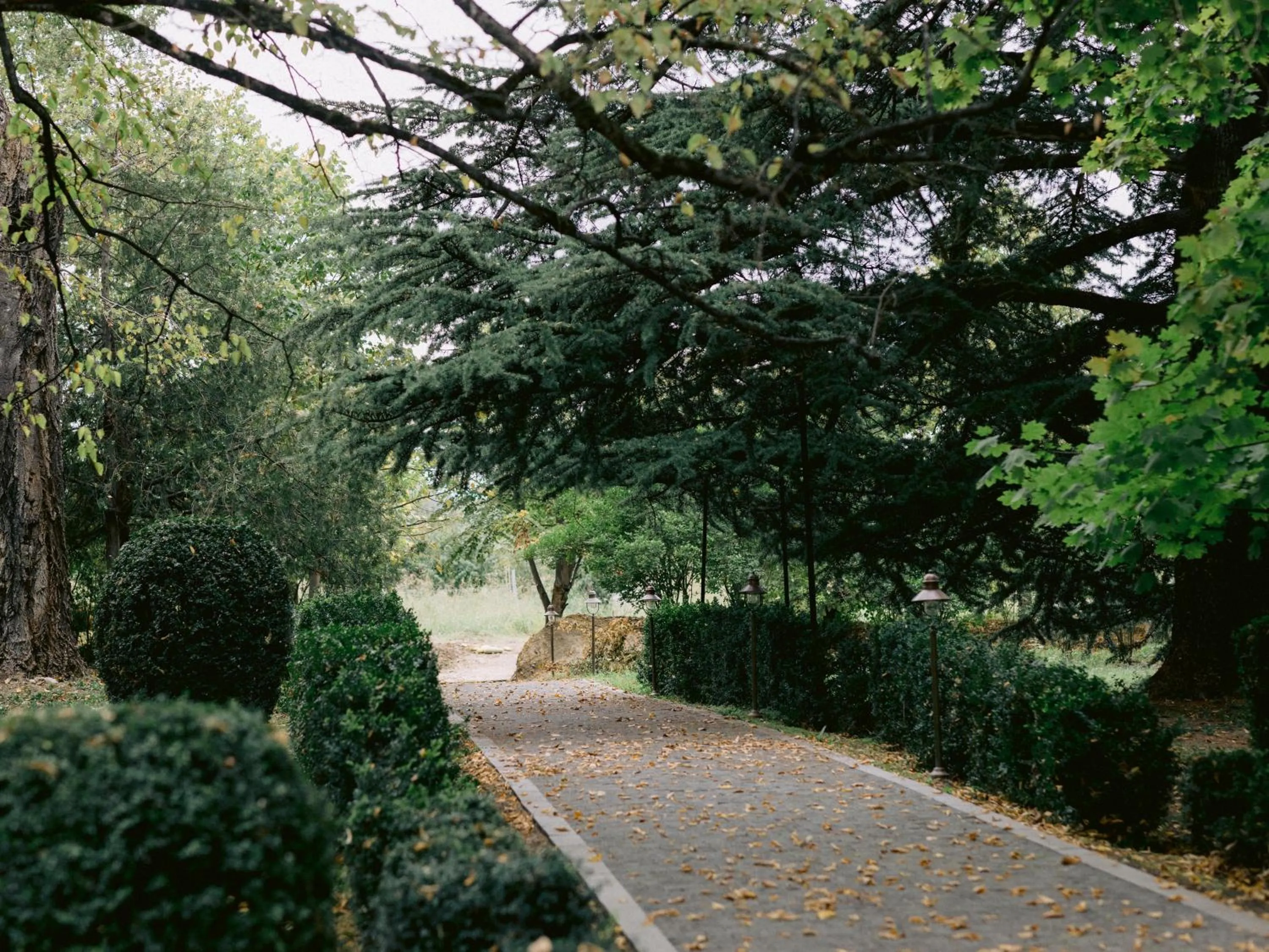 Garden in Vazisubani Estate