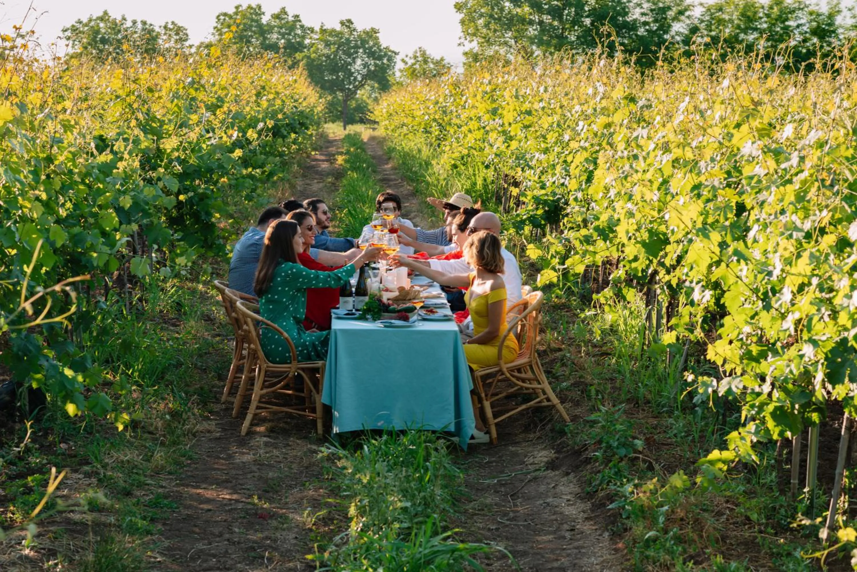 Restaurant/places to eat in Vazisubani Estate