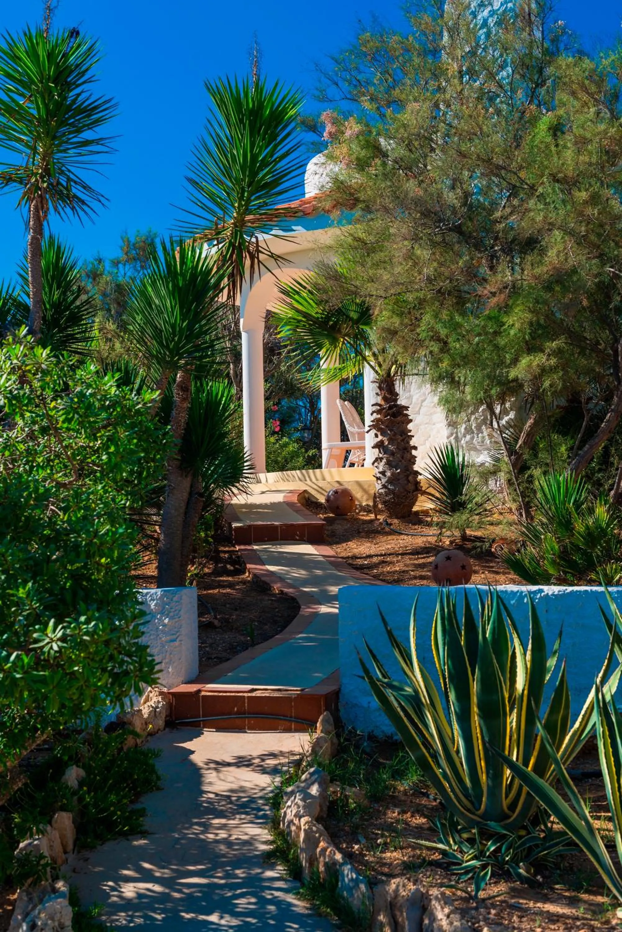 Garden view in Oasi Di Casablanca