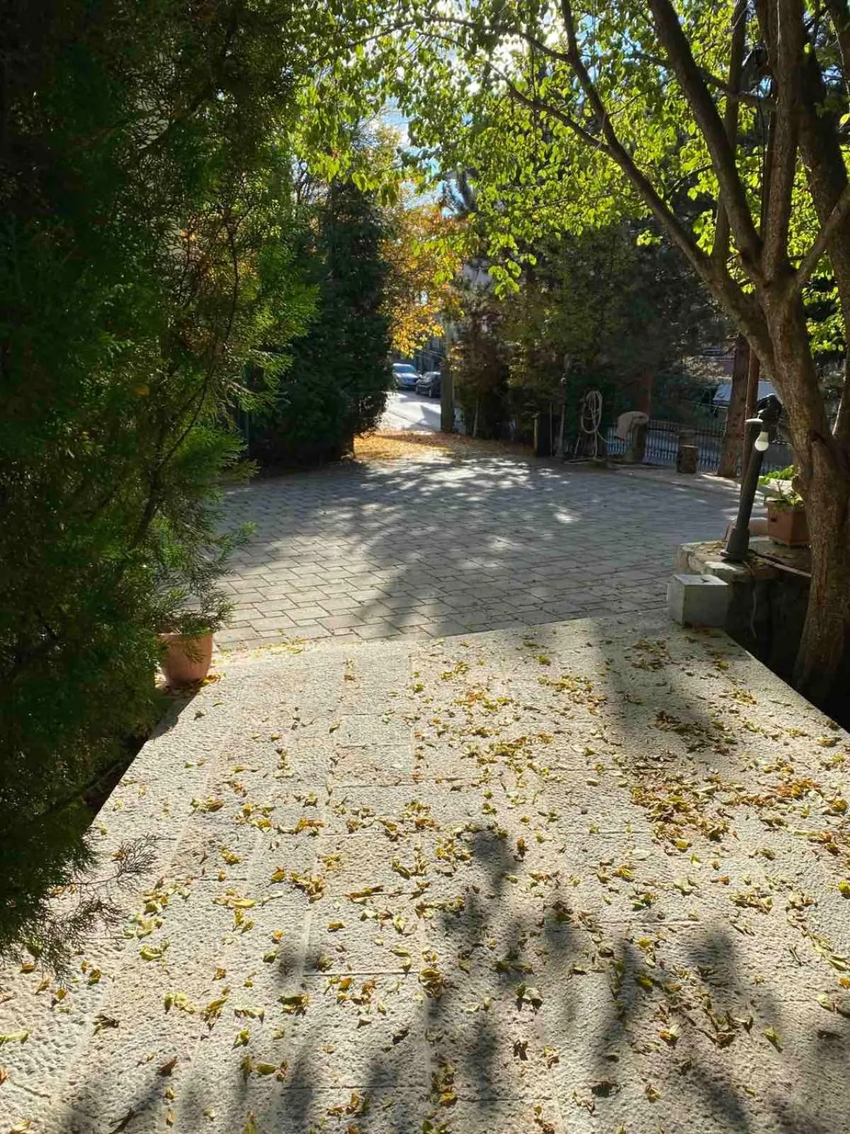 Day in Dim's Hotel & Restaurant