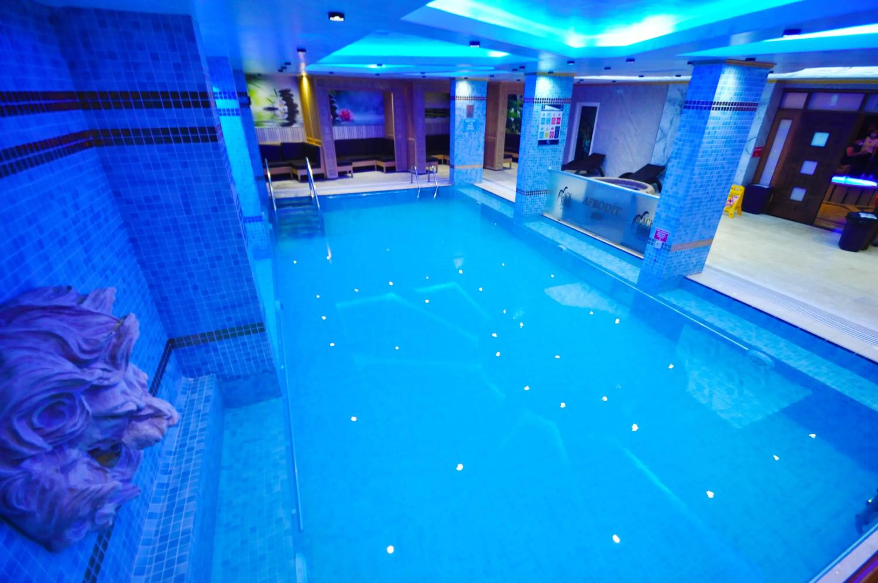 Swimming pool in Black Bird Thermal Hotel & SPA