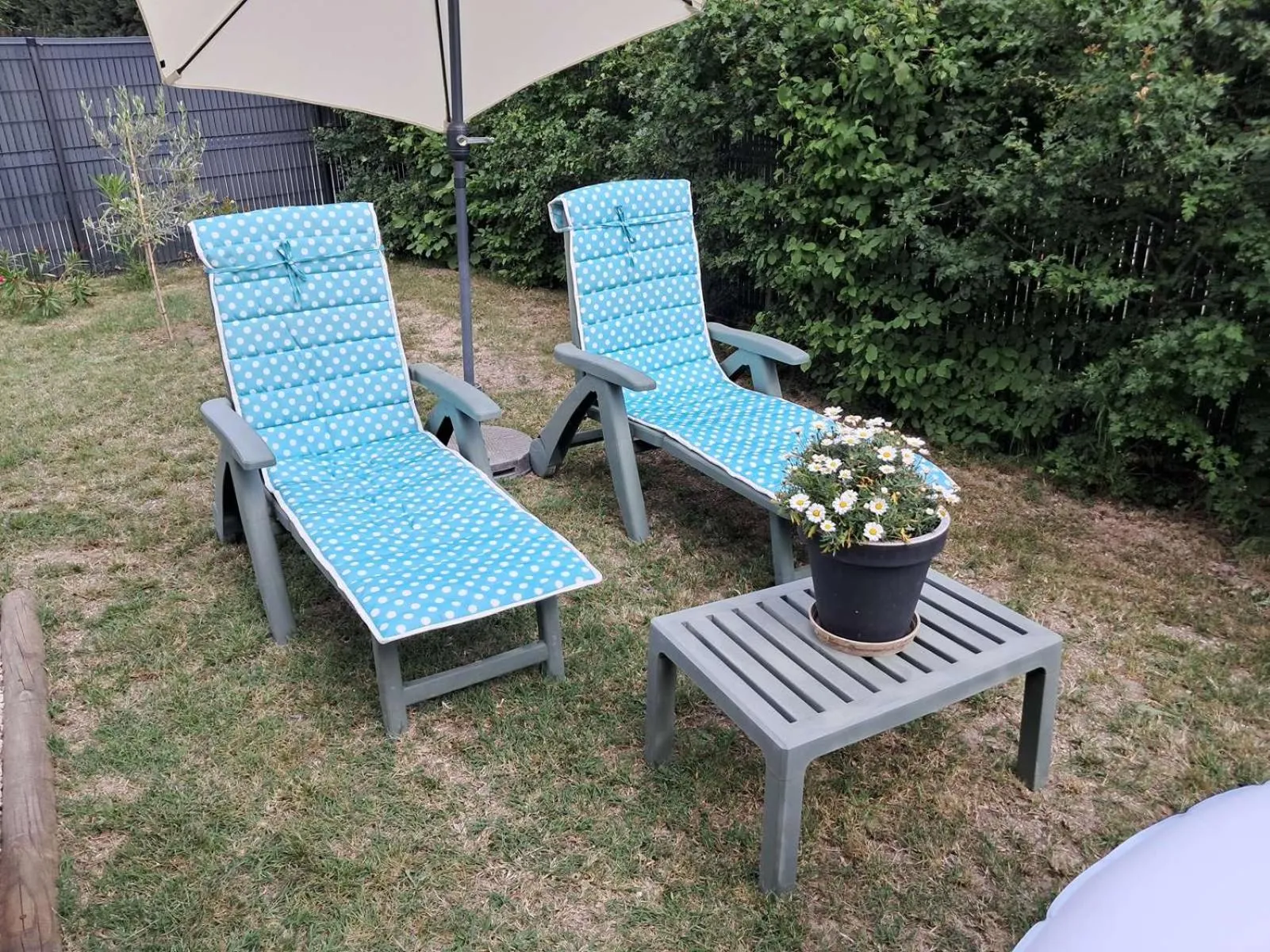 Garden in Chambre d'hôtes en provence avec Jacuzzi
