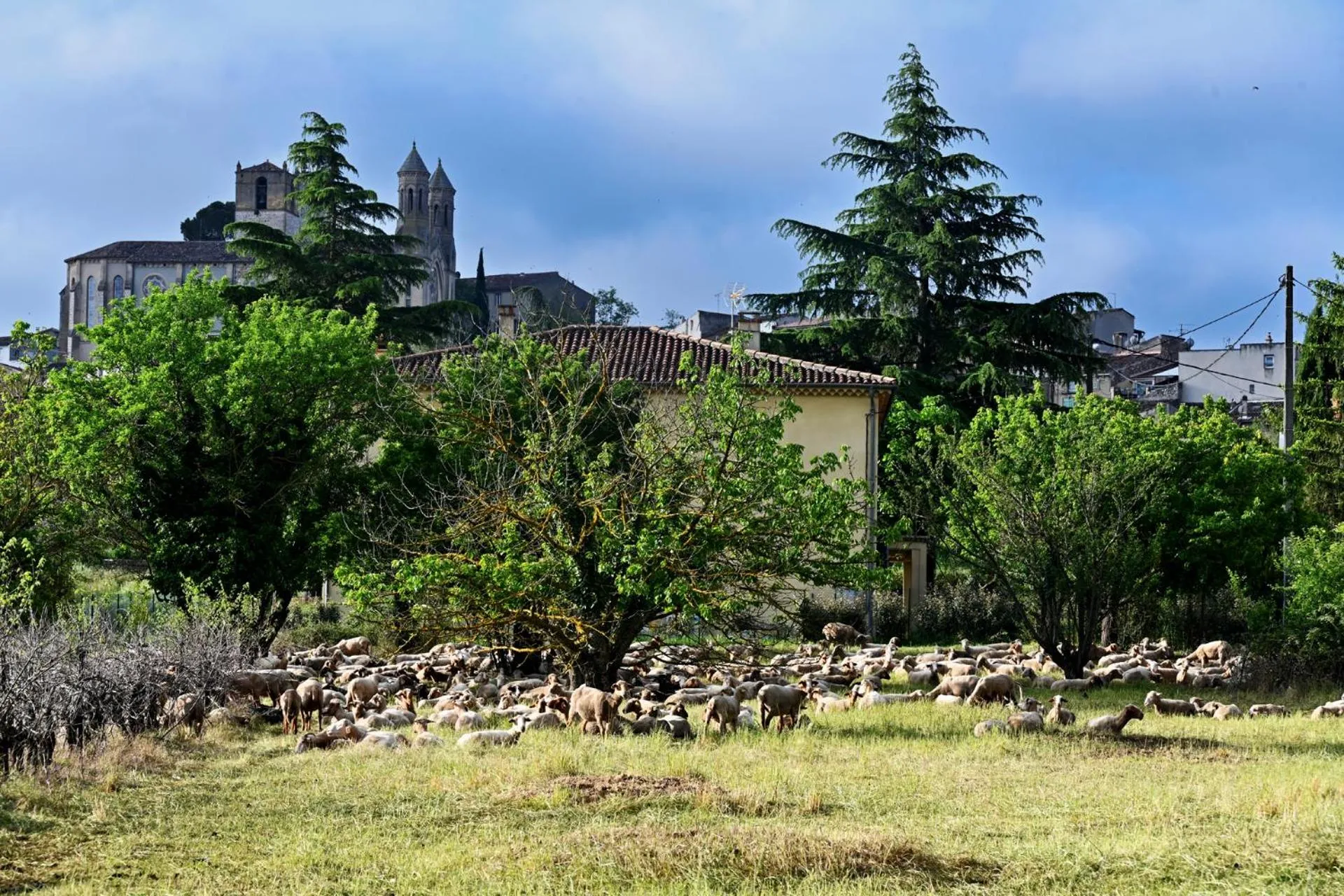 City view in Auberge de la Fontaine