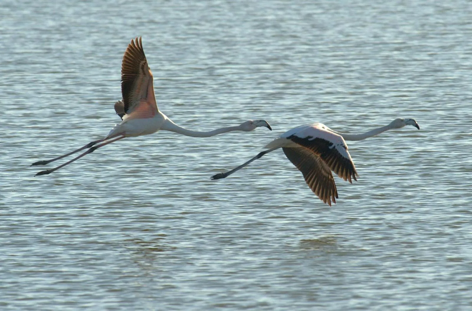 Day in Auberge de la Fontaine