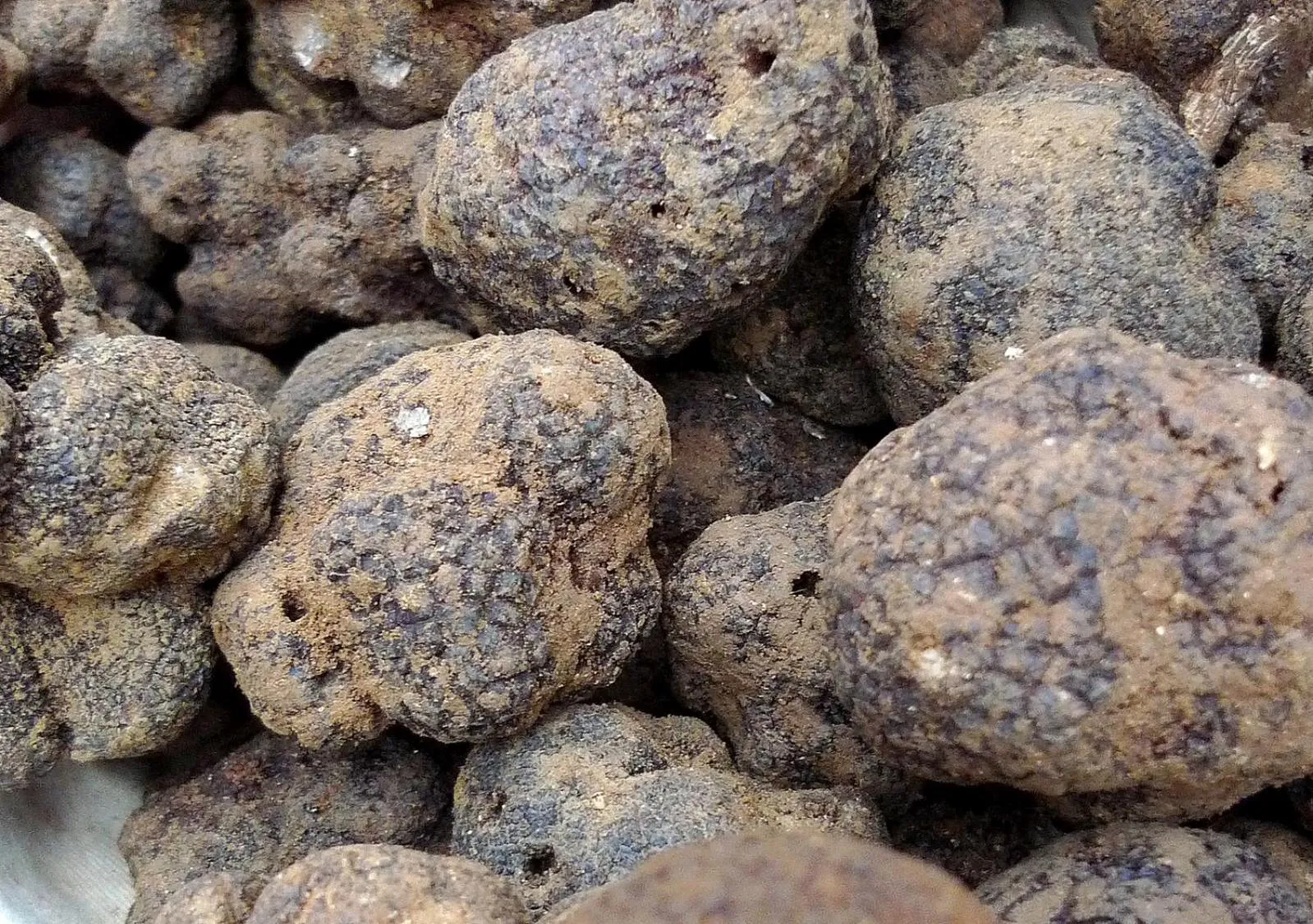 Restaurant/places to eat in Auberge de la Fontaine