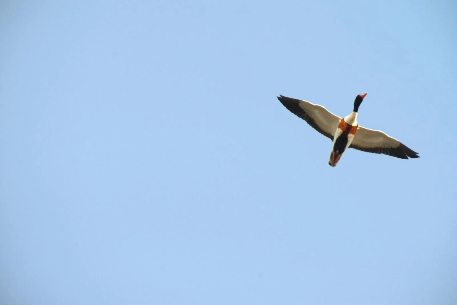 Spring in Auberge de la Fontaine