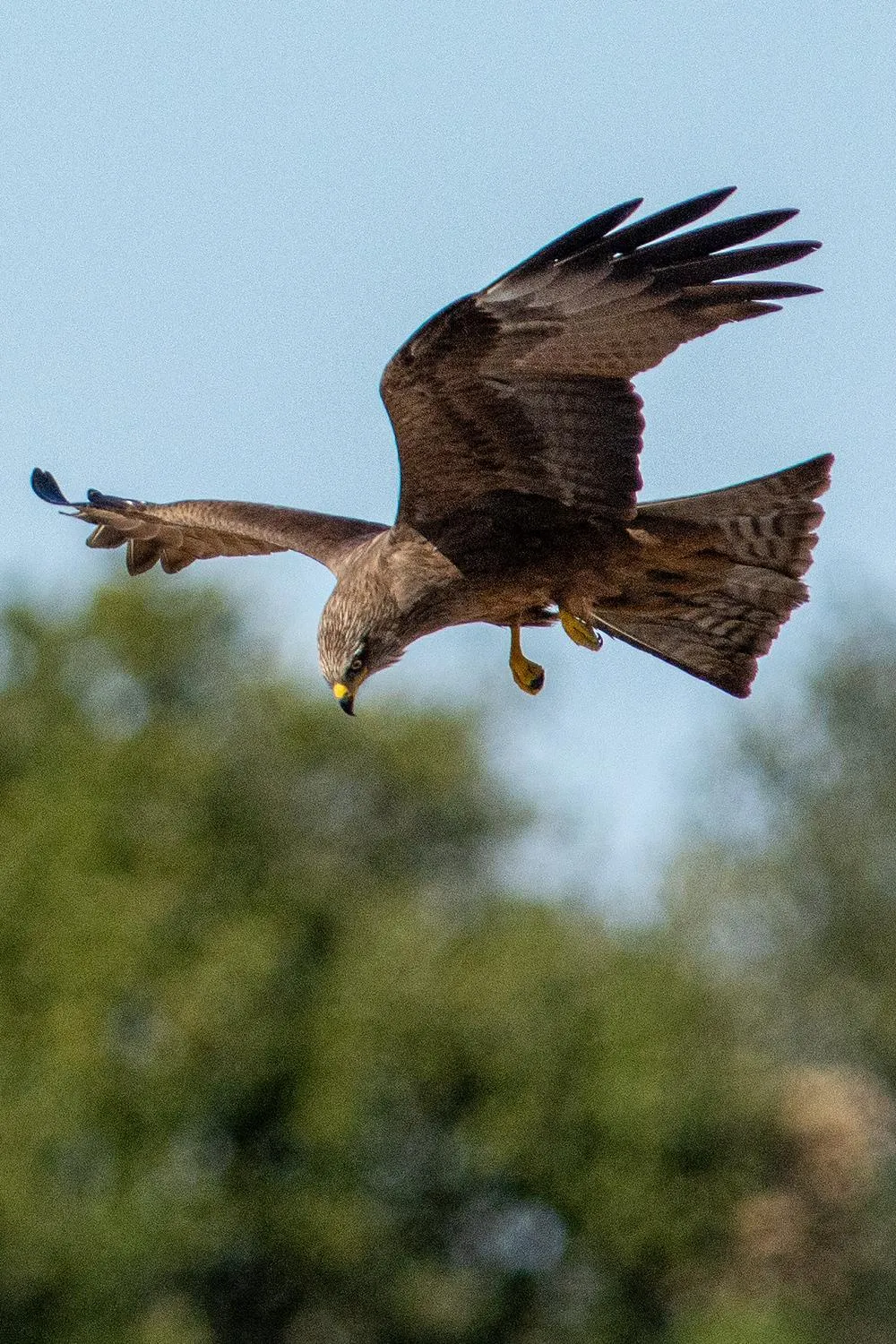 Spring in Auberge de la Fontaine
