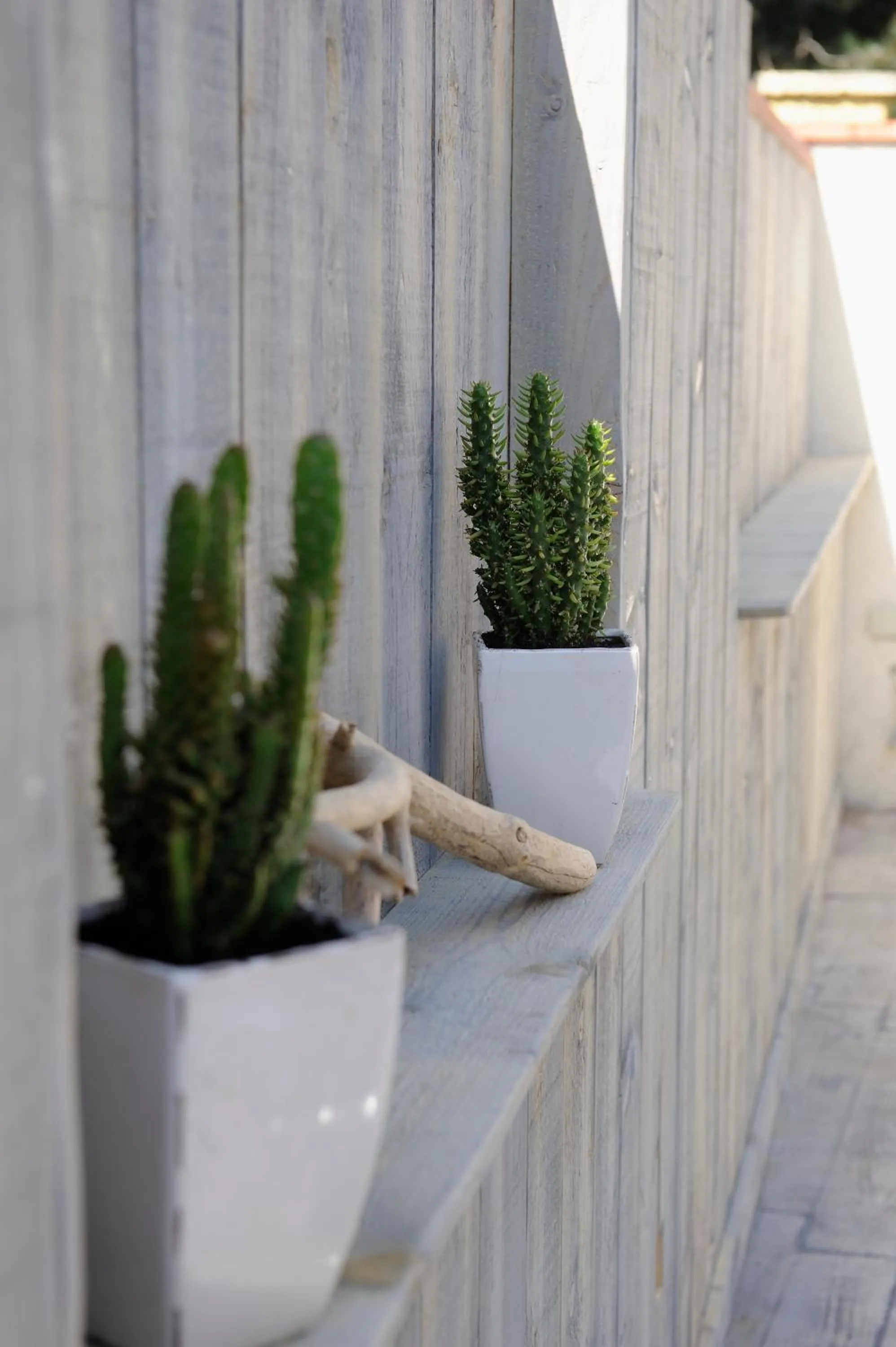 Budget Twin Room in Hôtel Les Mimosas