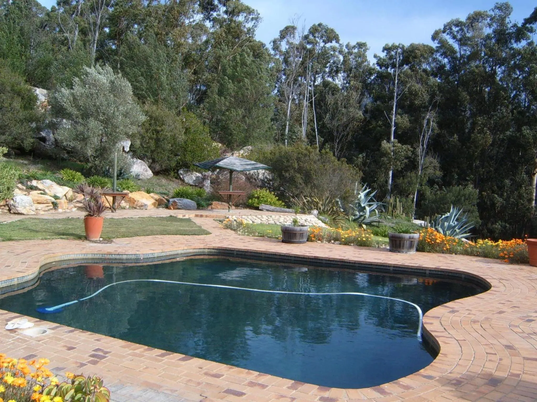 Swimming pool in Over The Mountain Guest Farm