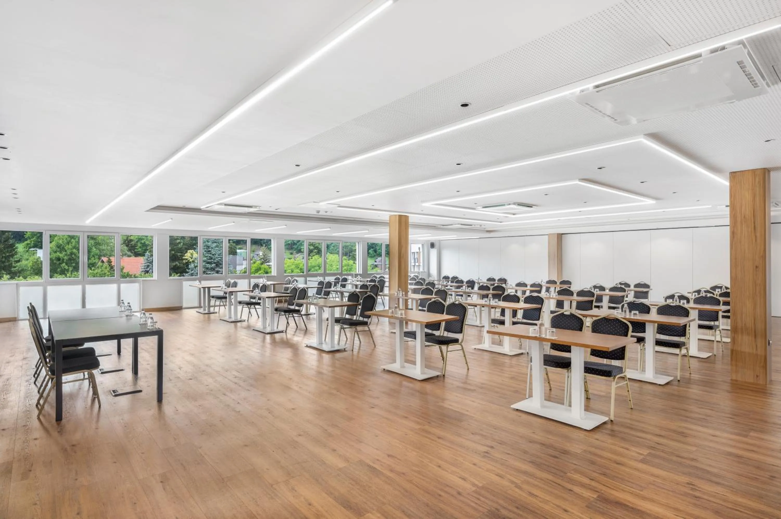 Meeting/conference room in Movenpick Resort and Spa Fruske Terme