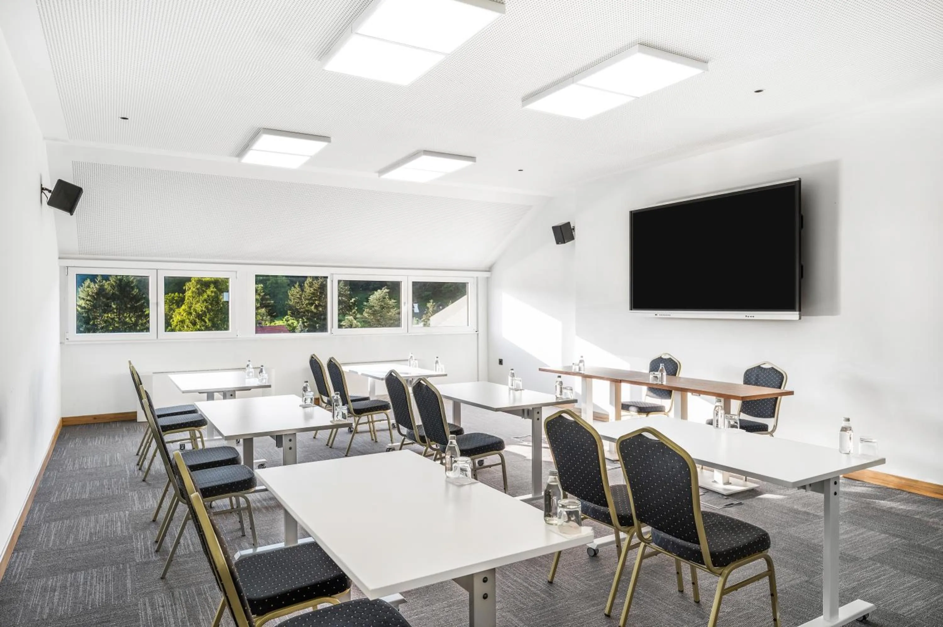 Meeting/conference room in Movenpick Resort and Spa Fruske Terme