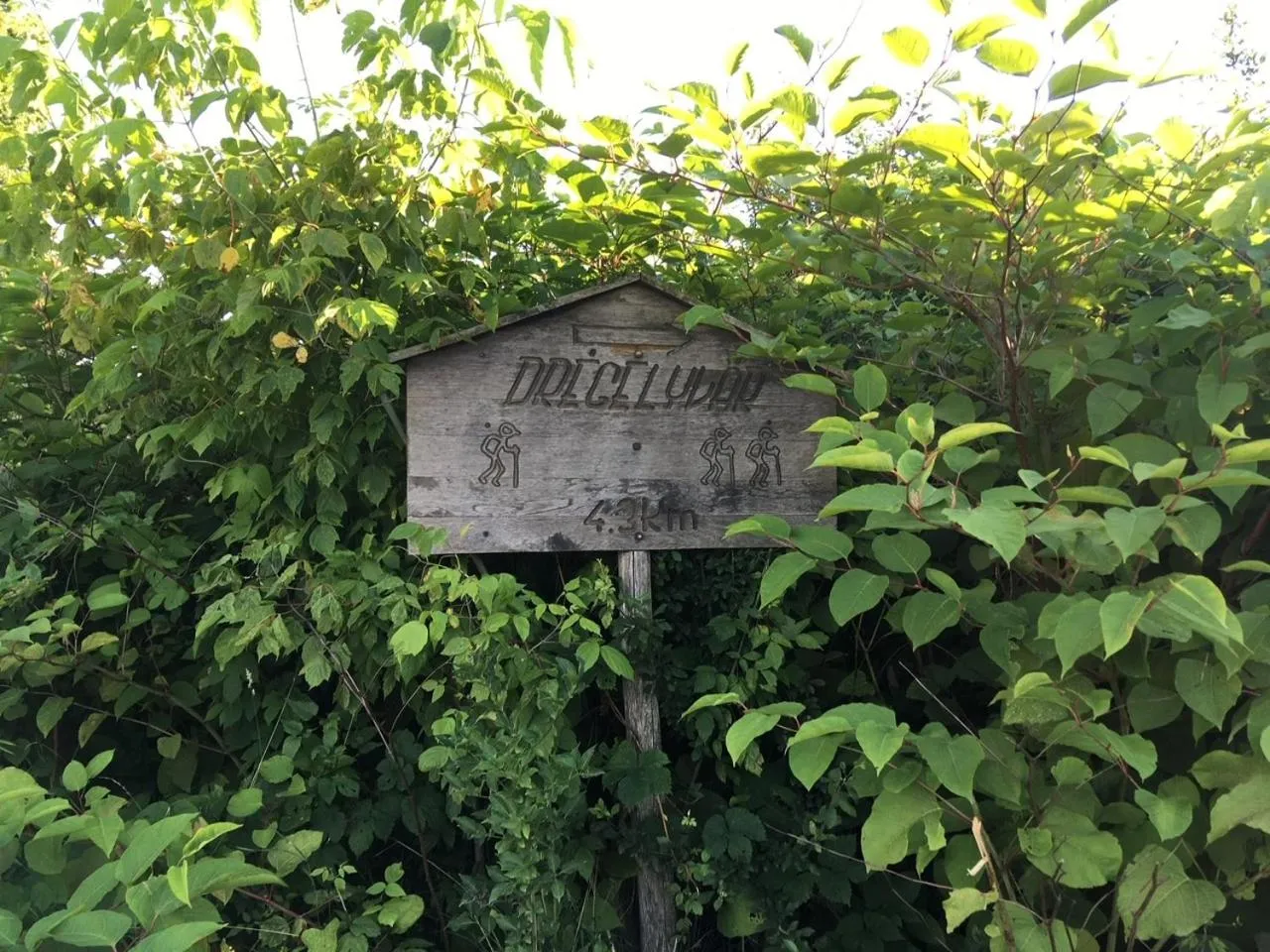 Activities in MiLLER's Inn Panzió és Étterem