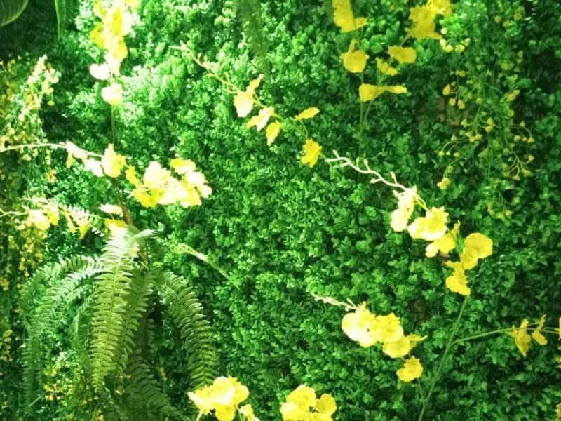 Vatica Xuzhou Suining Bus Station Bayi West Road Hotel